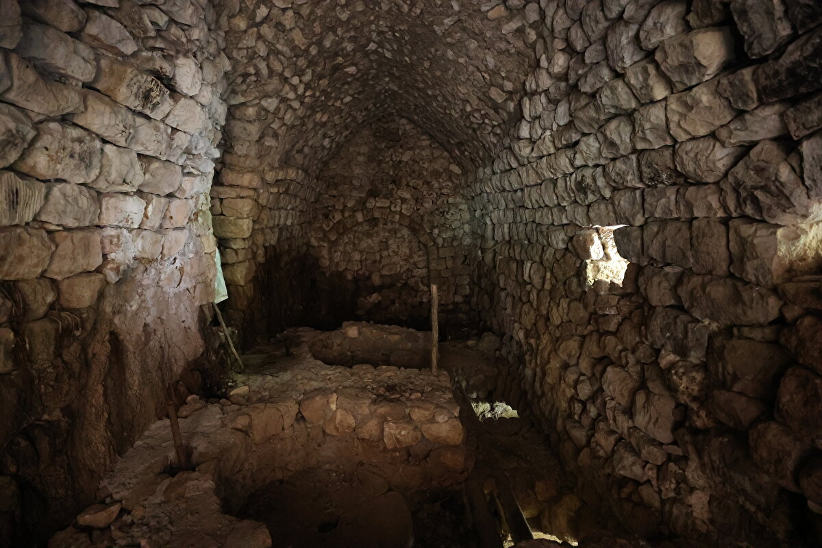 "Değirmen sonraki dönemlerde eklenti olarak yer almakta. Mozaiğin bulunduğu yapı kalıntısı ise daha eskiye doğru gitmekte. Mozaikli taban döşemesinde yaptığımız kazı çalışmasında 1 nolu mekanda daha çok geometrik motifler yer almakta. Bizi en çok sevindiren ve heyecanlandıran mozaiğin üzerinde bir yazıtın yer alması. Yazıt iki kelimeden (Tittos Domestikos) oluşmakta. Tittos bir özel isim ama Domestikos'a baktığımızda kaynaklarda daha çok bir ünvan olarak geçmekte. Bu ünvandaki kişilerin daha çok askeri bölümlerde ve kiliselerde herhangi bir görevli olarak yer aldıkları bilinmekte. 40 metrekareye yakın bir mozaik ortaya çıkardık. Ana panolarda düğüm motifi şeklinde madalyonlar bulunmakta, bu madalyonların içerisinde de geometrik şekiller ile haç işareti olarak nitelendirebileceğimiz motifler tespit edilmiştir. Yapı kalıntısı olarak baktığımızda mekan diğer parsellere doğru genişlemekte. İlk aşamada tam olarak ne olduğunu bilmesek de yazıttan buranın sivil bir idareciye ait yapı olduğunu söyleyebiliriz."