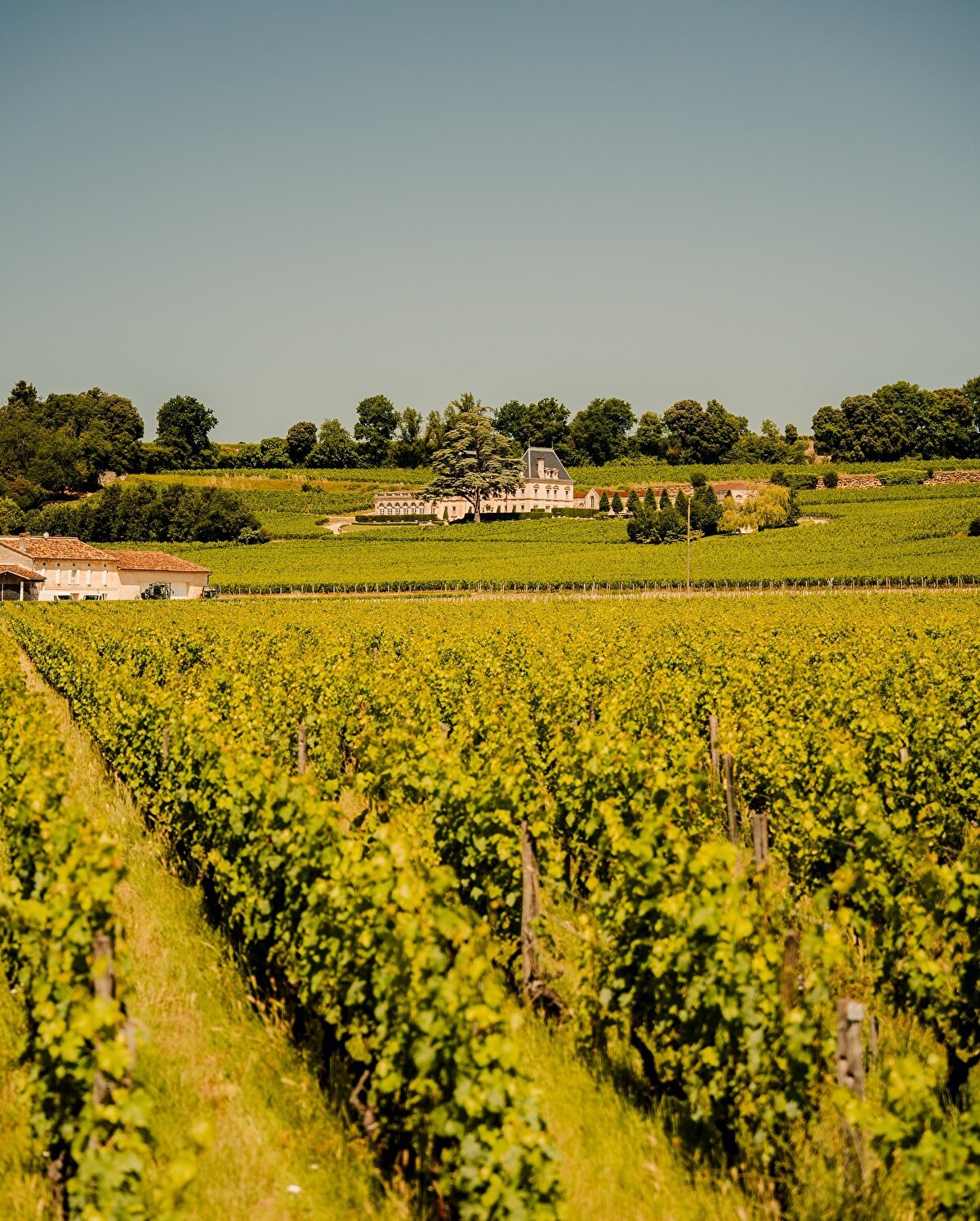 Saint-Emilion, özellikle dar taş sokakları ve Orta Çağ’dan kalma mimari yapıları ile dikkat çekiyor.