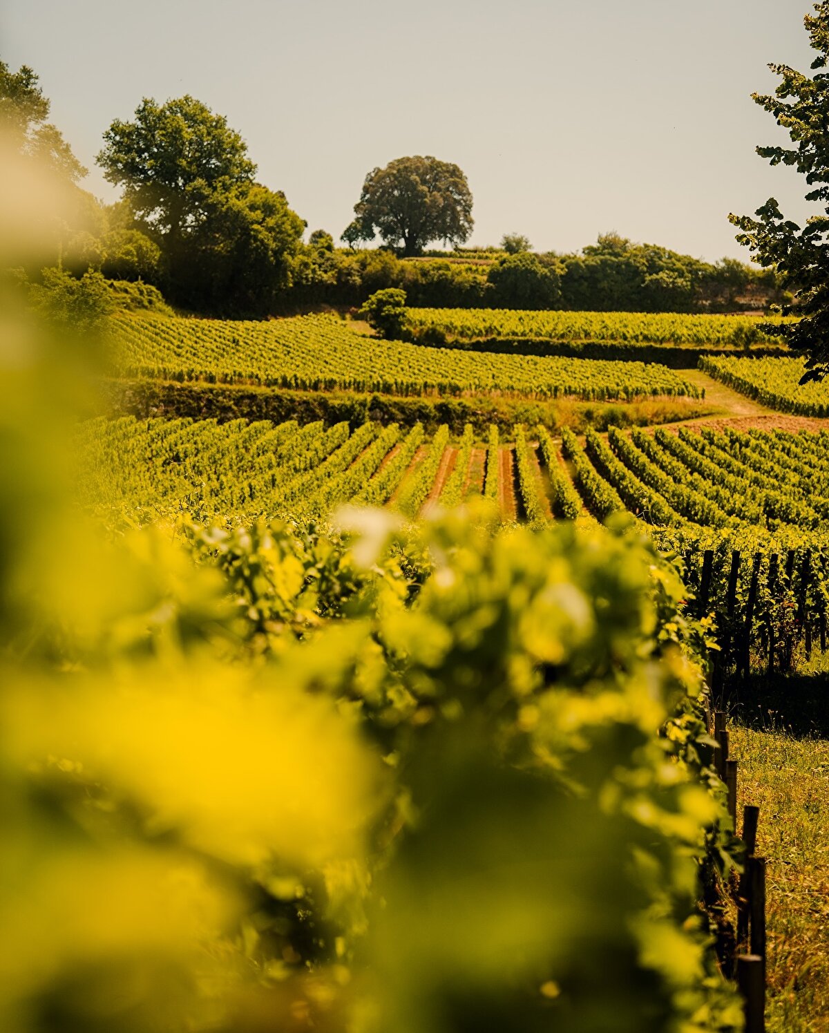 1999 yılında UNESCO Dünya Mirası Listesi’ne alınan bölge hem kültürel hem de doğal zenginlikleriyle ziyaretçileri kendine hayran bırakıyor.