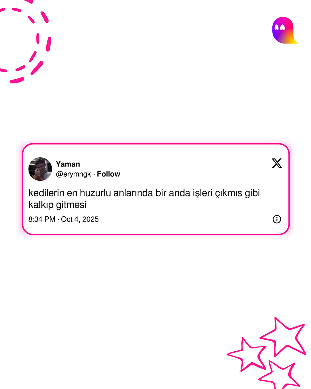 Kediler. Kedilerimiz...