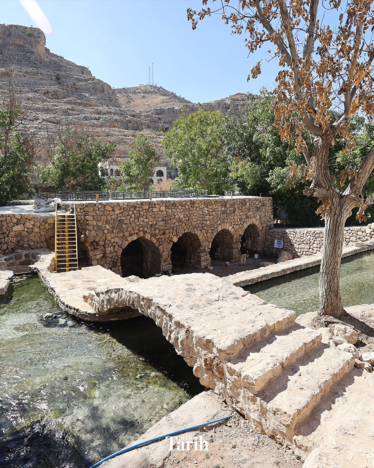 Mülkiyet sahiplerine mozaik alanla ilgili Mardin Müze Müdürlüğüne bilgi verdikleri için teşekkür eden Akgül, "Burası bir işletme, bir tesis alanı. Mülkiyet sahibinin burayı projelendirip ziyarete açmak gibi önerileri var. Yapılacak çalışmalar sonrasında mozaiğin bu alanda sergilenmesi planlaması da var." dedi