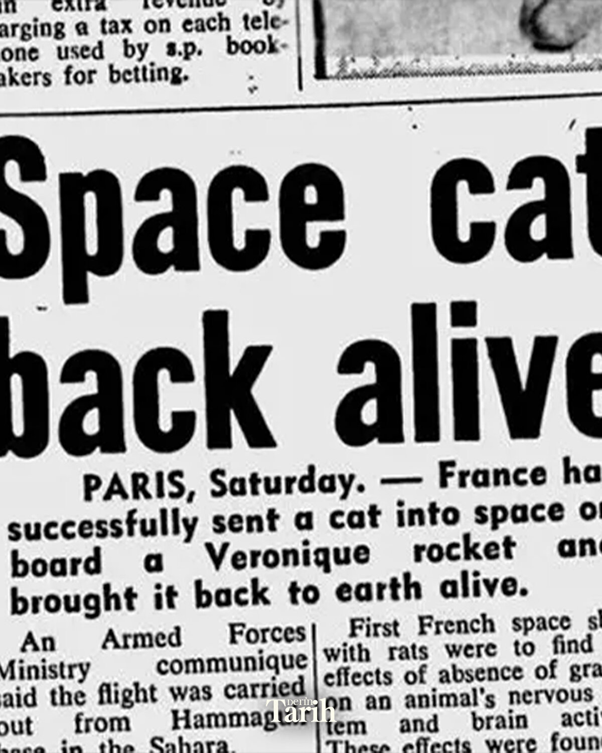 Ne yazık ki görev sonrası bilimsel incelemelerin tamamlanabilmesi için Félicette’ye ötanazi uygulandı.