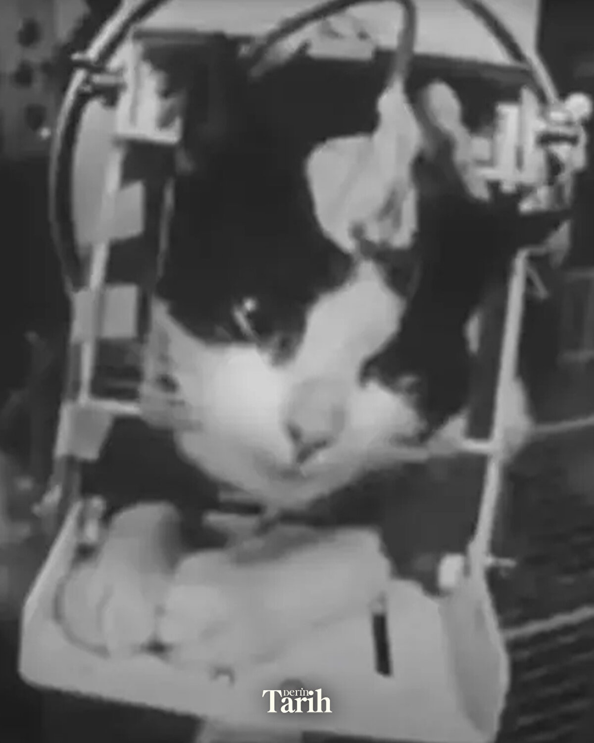 Uçuş sırasında 9,5 g’lik ivmeye maruz kaldı ve 156 kilometre yüksekliğe ulaştı.