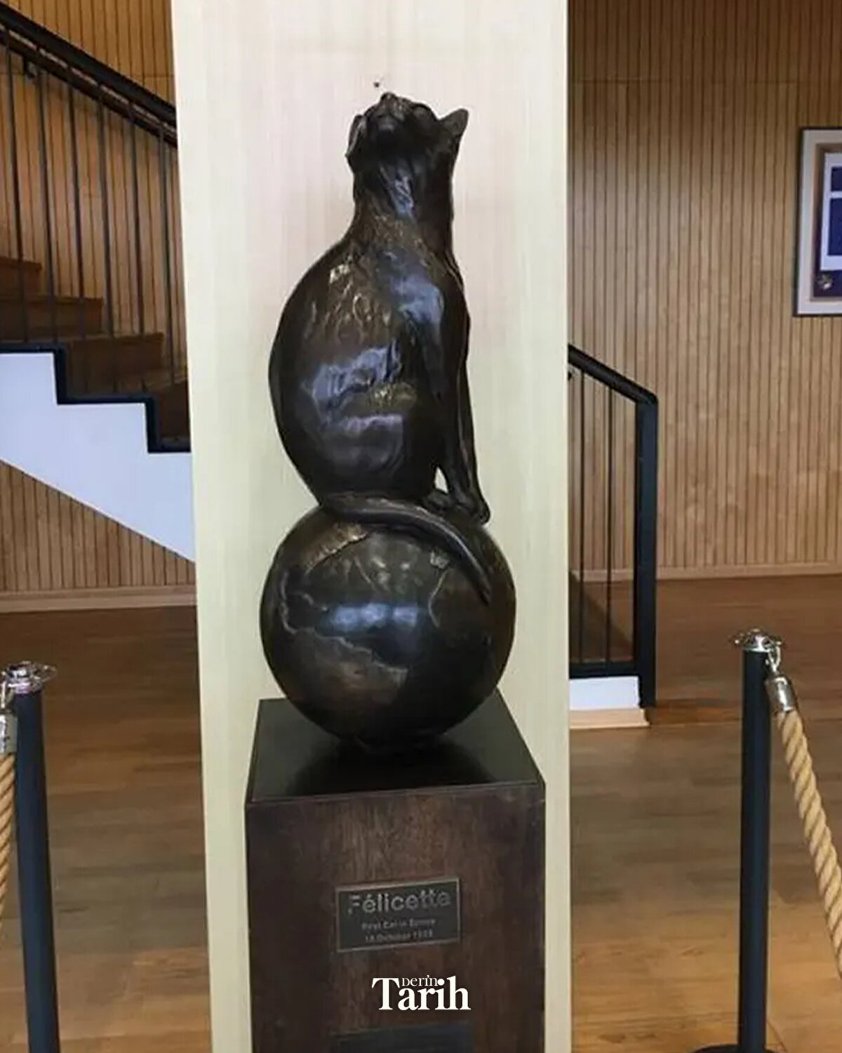 On üç dakika sonra kapsül paraşütle güvenli biçimde yere indi ve Félicette canlı kurtarıldı.