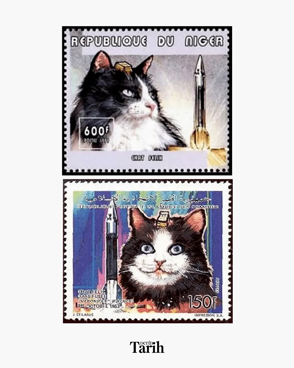 Programdaki diğer kedilerden bazıları, uçuşa hazırlık sürecinde stres tepkileri veya sağlık sorunları nedeniyle elendi; birkaçı ise testlerde görev aldı ancak uzaya gönderilmedi. Félicette, deneyin tüm aşamalarını başarıyla tamamlayan tek kedi oldu.