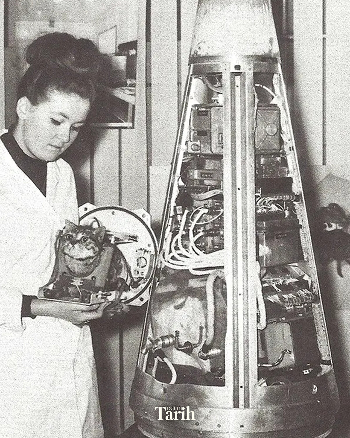 Heykelin üzerinde şu yazı yer alıyor:<br>“Uzaya giden ilk kediye — ve bilimin sessiz kahramanlarına.”