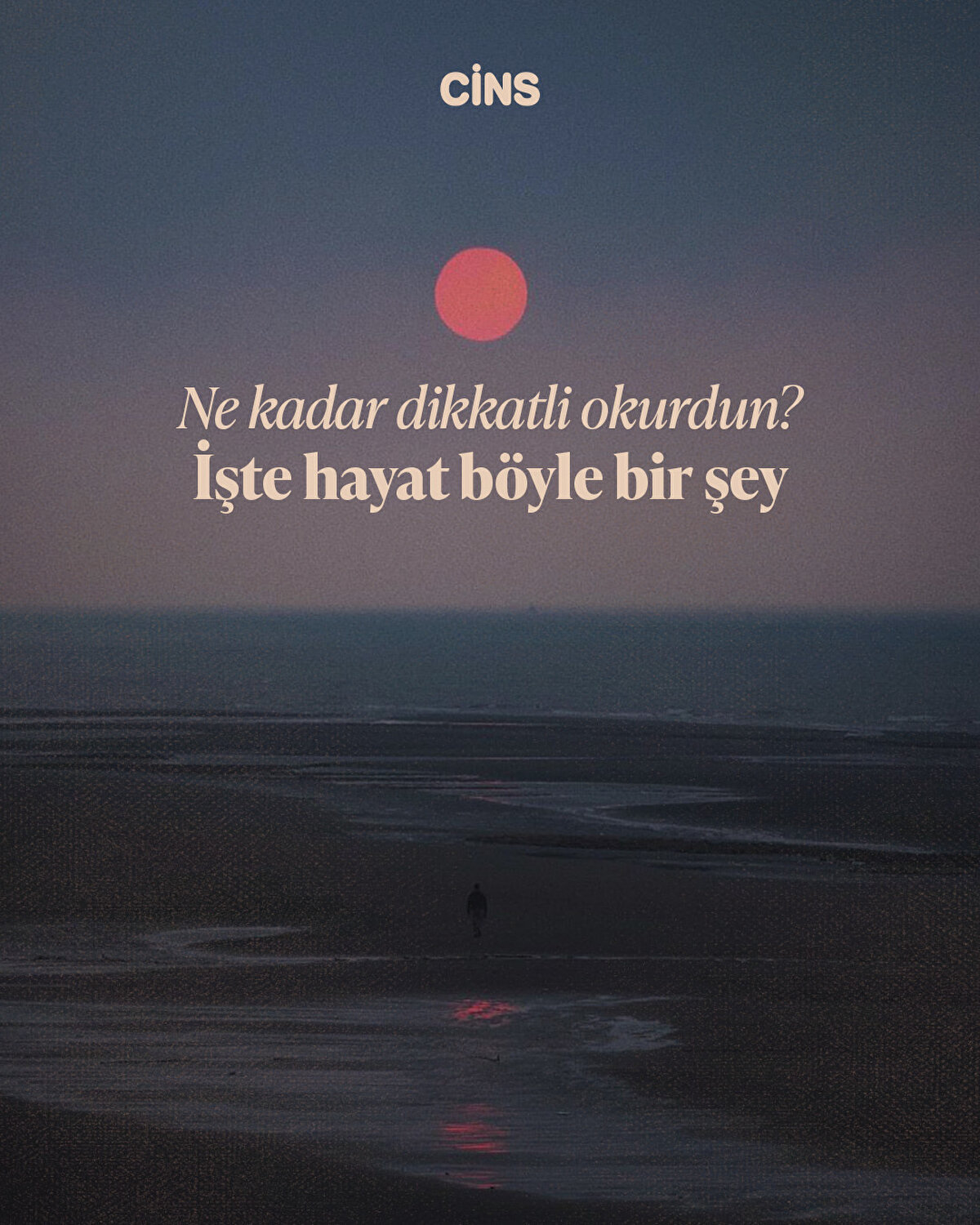 Ne kadar dikkatli okurdun? <br>İşte hayat böyle bir şey