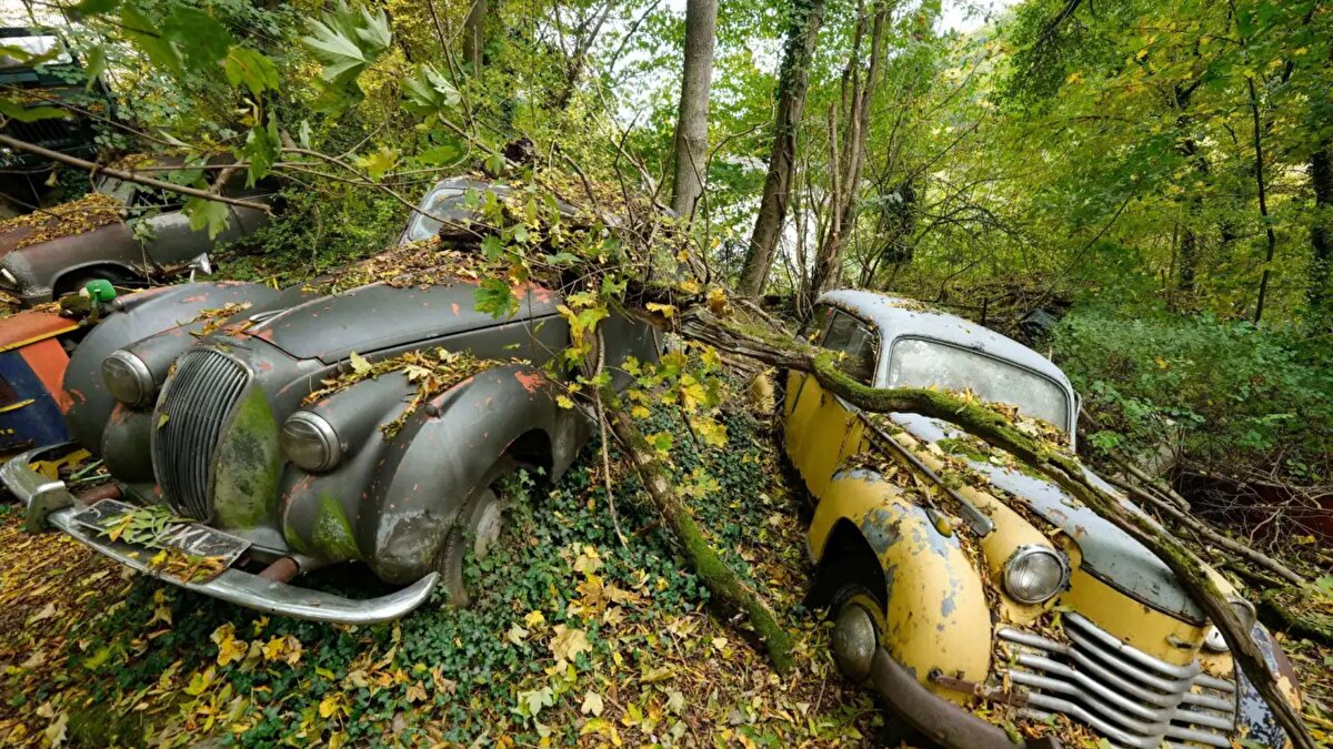 Ancak şu anda arabalar, sonbaharın taze yaprakları, kışın ağır karı ve 25 yıl boyunca oluşan pas tabakasıyla kaplanmış halde duruyorlar.