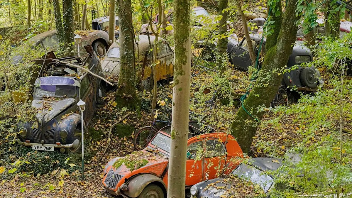 Bu arabaların yağ ve kirleticilerini temizledikten sonra, Batı Almanya’daki evinin yakınlarındaki özel bir ormana park etti ve böylece benzersiz bir klasik araba mezarlığı oluşturdu.