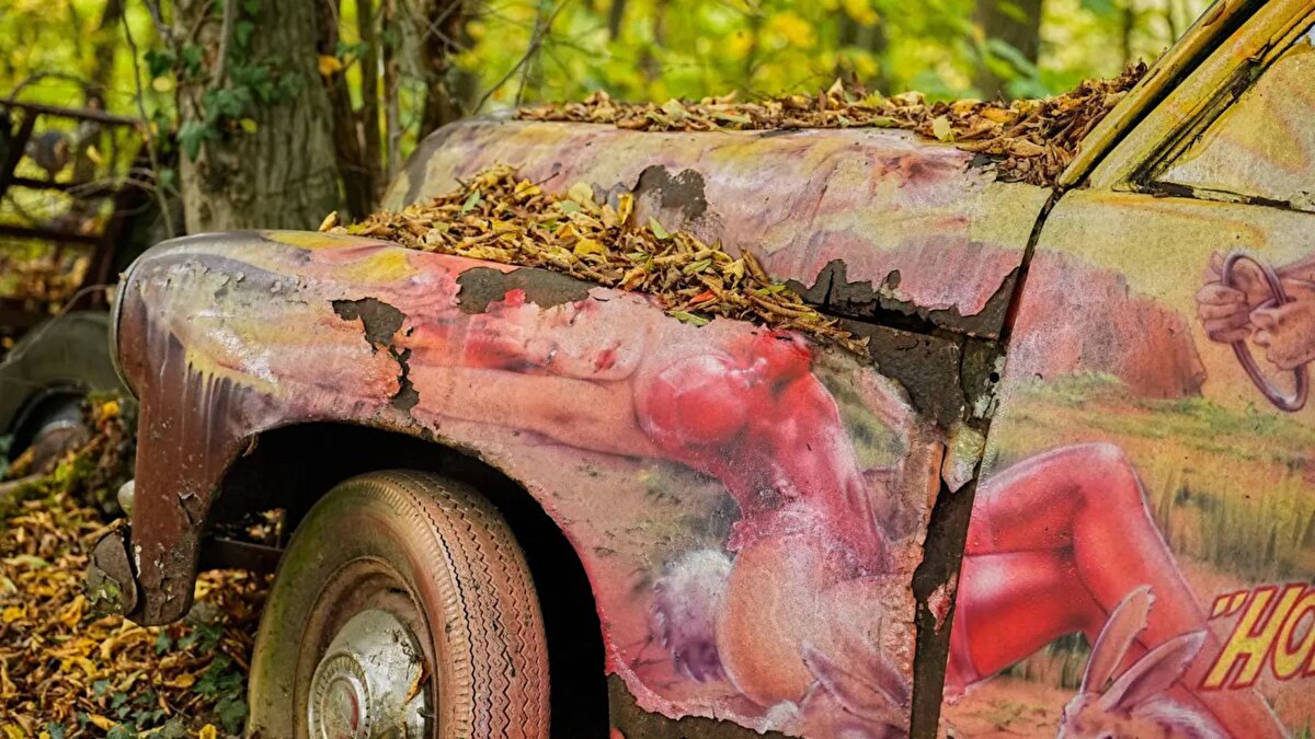 Koleksiyonda bir Jaguar XK120, bir Rolls-Royce Silver Ghost ve bir Porsche 356 gibi değerli modeller yer alıyor; arabalar restore edilseydi milyonlarca dolar değerinde olacaktı.