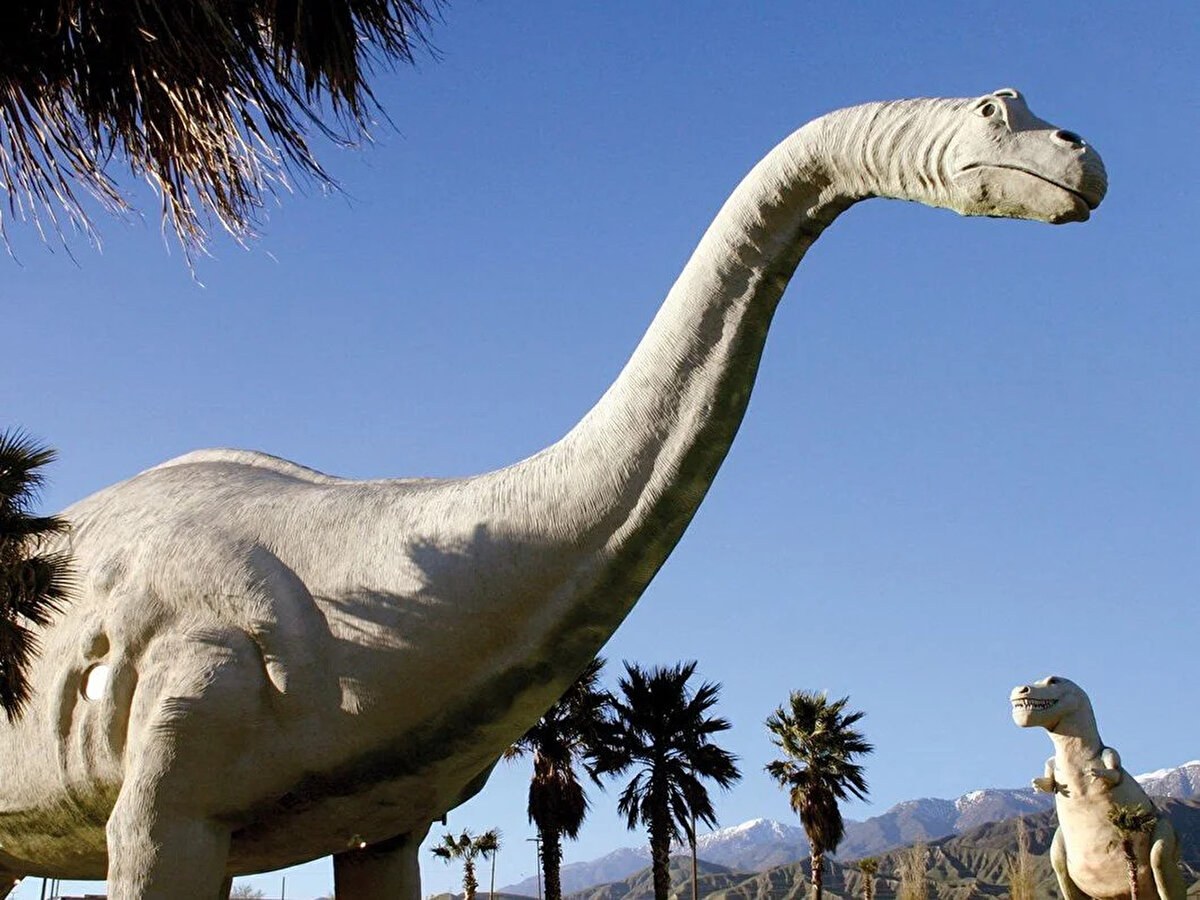 Keşif, 7 Ekim’de yapılan canlı yayın sırasında gerçekleşti. Yayını izleyen binlerce kişi, tarihe tanıklık etti. Ekip lideri Federico Agnolín, “Bilim artık eskisinden çok daha erişilebilir. Bu keşfi dünyayla aynı anda paylaşmak olağanüstü bir deneyimdi.” dedi.