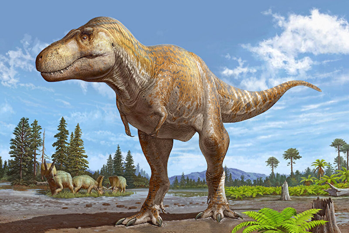 Uzmanlar, etçil dinozorların yumurtalarının genellikle ince kabuklu olması nedeniyle fosilleşmiş örneklerin son derece nadir olduğunu belirtiyor. Eğer bu yumurtanın içinde korunmuş bir embriyo tespit edilirse, dinozorların üreme biçimleri ve evrimsel gelişimleri hakkında bugüne kadar elde edilememiş veriler sağlanabilecek.