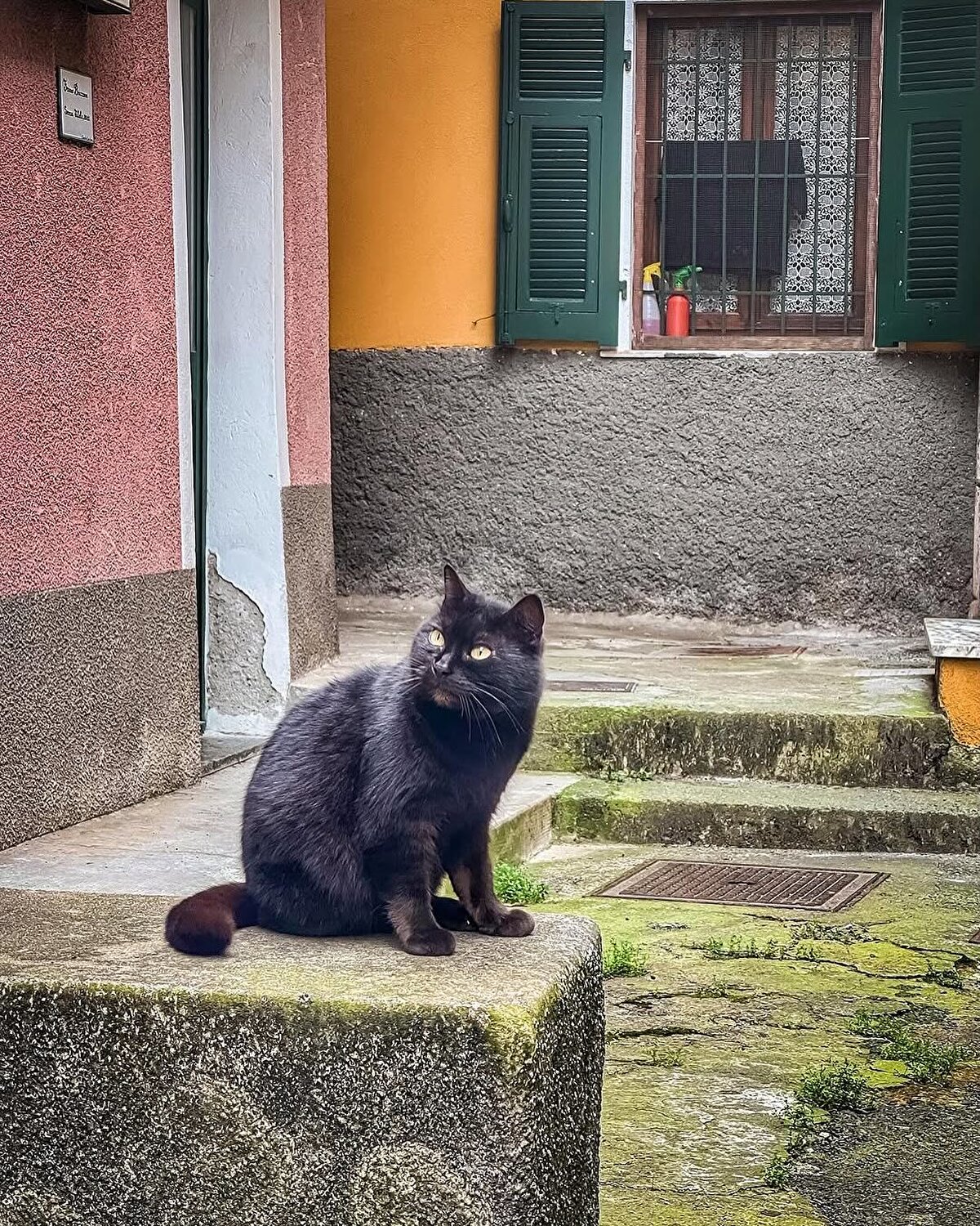 Şehir hayatının kaosundan uzaklaşmak isteyenler için mükemmel bir kaçış noktası olan Ellera, sessizliği ve doğal yaşamıyla dikkat çekiyor. 