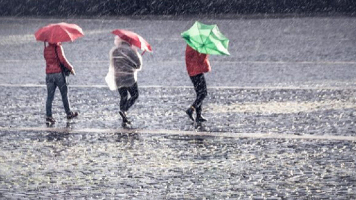 Doğu Anadolu<br>Bölge genelinde parçalı az bulutlu, sadece Erzincan çevrelerinde akşam saatlerinden sonra kısa süreli yağış bekleniyor.<br><br>Erzurum 18°C, Kars 18°C, Malatya 24°C, Van 17°C