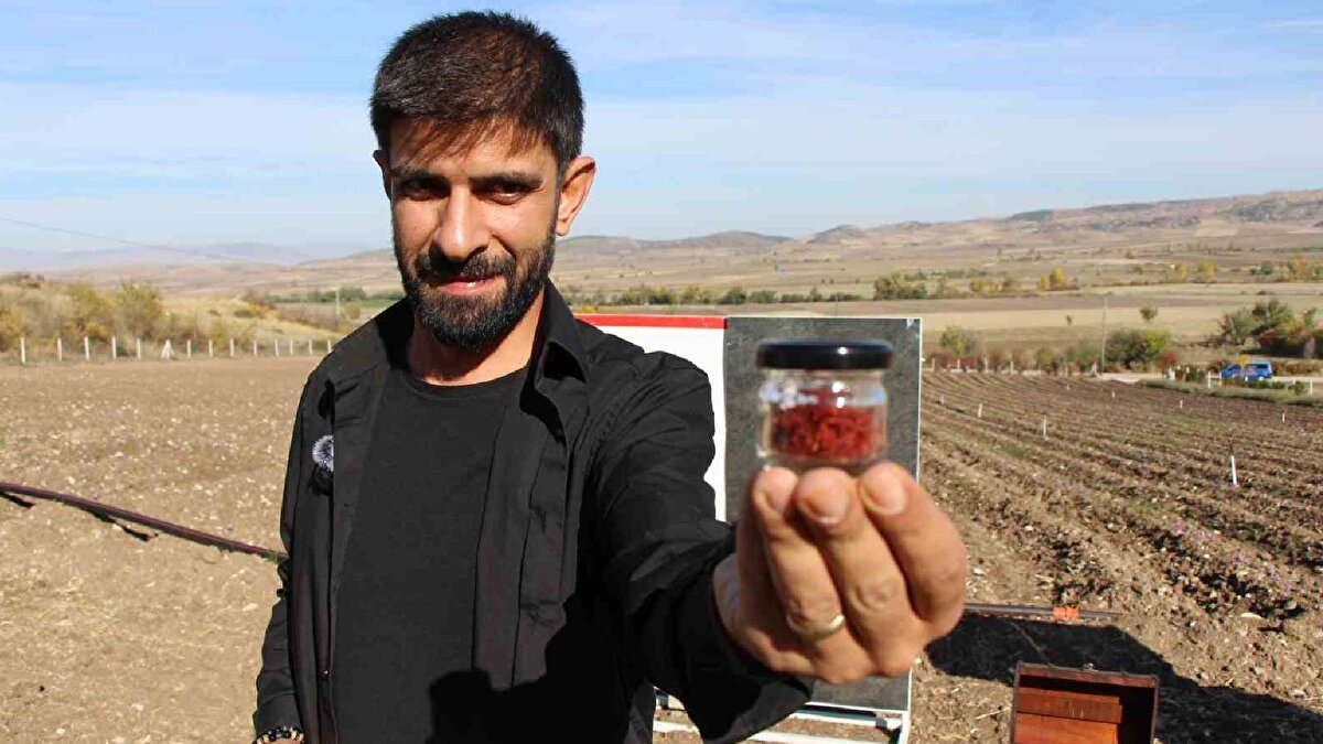 "12 bin dönüm fazla soğan üretildi, alternatif ürünlere yönelen rahat etti"<br><br>Amasya’nın Göynücek ilçesine bağlı Ayvalıpınar köyünde düzenlenen safran hasadına katılarak ürün toplayan Amasya Valisi Önder Bakan çiftçilere alternatif ürünleri de denemeyi tavsiye etti. Soğandaki ürün bolluğunu ve zirai donun vurduğu kirazı hatırlatan Vali Bakan, "Bu yıl yaklaşık 12 bin dönüm soğan fazla ekildi. Çiftçilerimizin geleneksel alışkanlıkları olduğu için hiçbir şekilde ondan vazgeçmediler. Alternatif ürünlere yönelen arkadaşlarımız kısmen daha rahat ettiler. Bazı bölgelerimiz sadece kiraza yönelmişlerdi. Zirai dondan dolayı maalesef yaşadığımız süreçte alternatif ürünleri sepetlerine koymadıkları için sıkıntı oluştu" şeklinde konuştu.