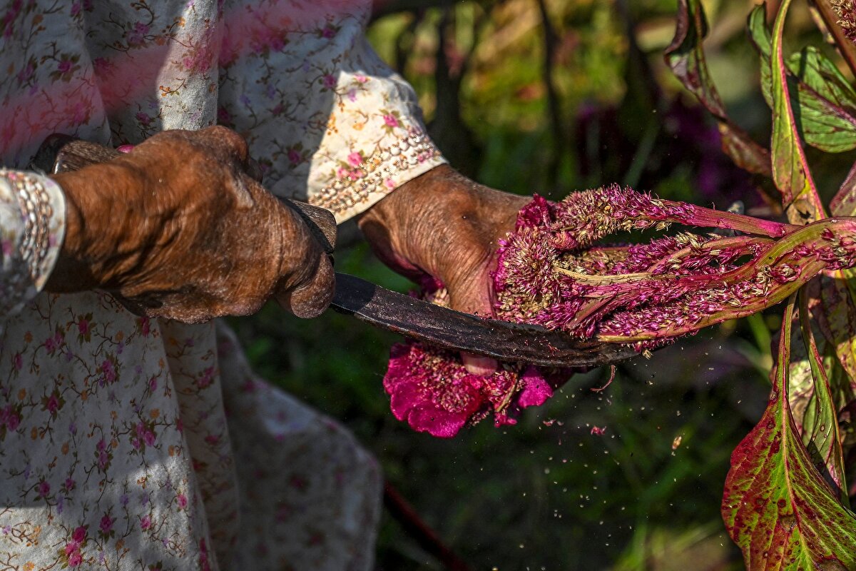 Hafif bir tada sahip olduğundan, içerisinde kullanılan yemeklerin doğal aromalarını bastırmıyor.