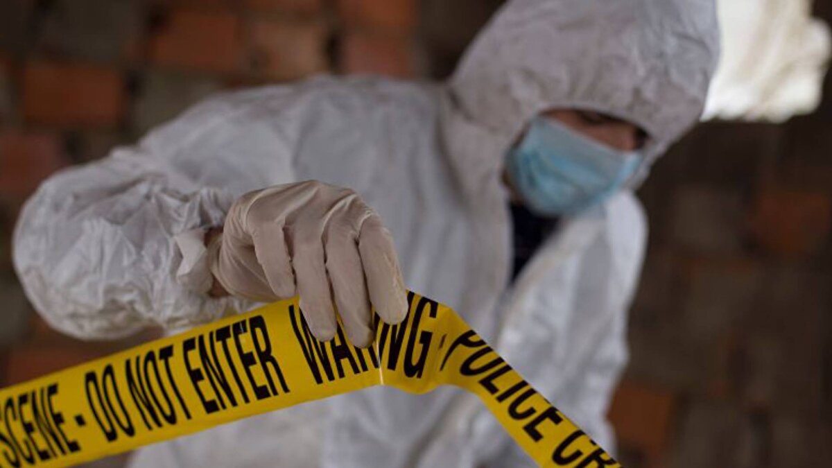 Ayda iki ya da üç işle başladığı meslekte, şimdi haftada 50 ila 100 işe ulaştı. Artık polis, bir olay yeri temizlenmesi gerektiğinde şirketini arıyor.<br><br>Çoğu temizlik işinde çok sayıda solvent ve dezenfektan kullanılırken, Ben halıdaki sıradan lekeler için hala toz ya da sıvı deterjan ve ılık su gibi basit temizlik yöntemlerine başvuruyor.