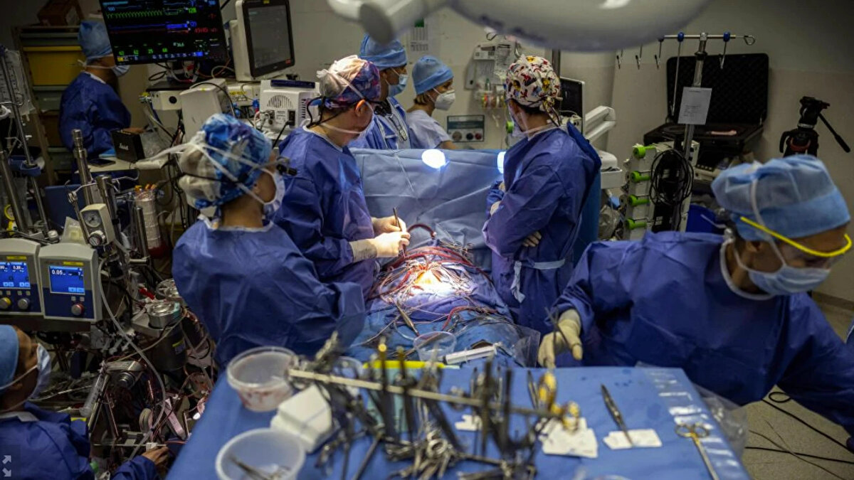 2025 yılına girerken, iş dünyası tarihi bir dönüşümden geçiyor. Teknolojik gelişmeler ve küresel talep, "ideal meslek" tanımını kökten değiştirdi. On yıl önce istikrar ve statüyle tanımlanan meslekler, bugün yerini yenilikçilik, ekonomik güvence ve küresel uzman talebine bıraktı. Artık 2025'in en yüksek maaşlı meslekleri sadece tıp ya da finansla sınırlı değil; yapay zekâ, siber güvenlik, bulut mühendisliği ve enerji gibi alanlar da zirveye güçlü bir şekilde ortak oldu. Uluslararası maaş raporları ve güncel çalışmalara dayanarak hazırlanan bu liste, 2025 yılında en yüksek talebi gören, mesleki istikrar sunan ve sürdürülebilir büyüme fırsatlarını birleştiren 17 mesleği ortaya koyuyor. Kariyerini planlayanlar veya değiştirmeyi düşünenler için işte o kritik sıralama...