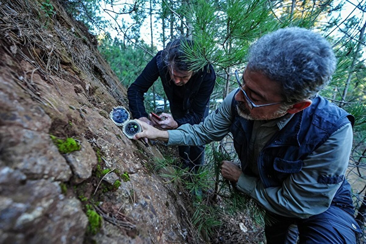 Öte yandan Sındırgı'nın kırsal Yaylacık, Emendere, Aktaş ve Sinandede mahalleleri arasındaki dağlık alanda tespit edilen fayın yüzeydeki kısmı görüntülendi.
