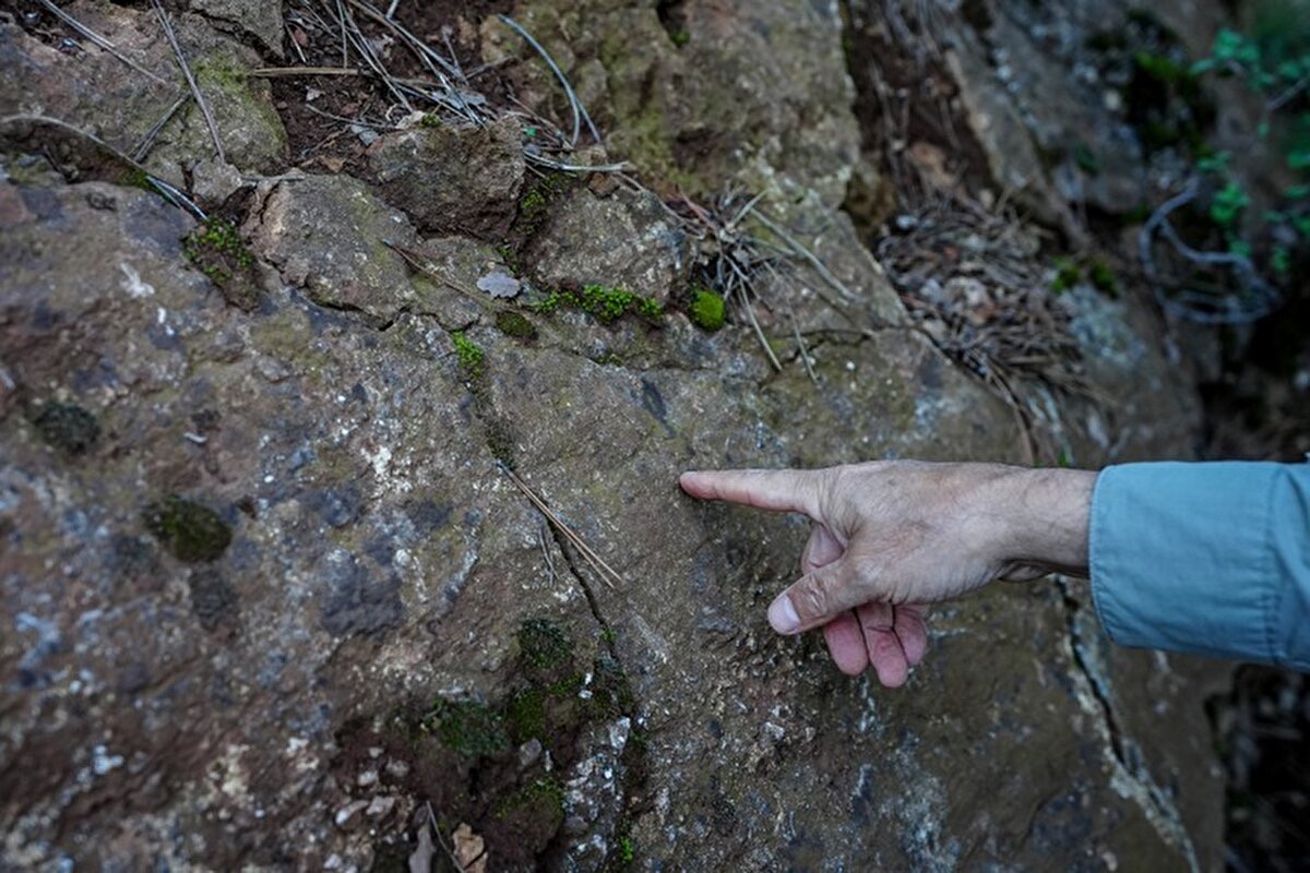 Bu fayların haritalanması için süreci başlattıklarını belirten Sözbilir, "O fayların hiçbiri şu an var olan 2013 tarihinde çizilen diri fay haritasında yer almıyordu. Dolayısıyla onlar çoğunlukla ölü fay sınıfındaki faylardı. İkinci deprem olunca tekrar bölgeye geldik." ifadesini kullandı.<br><br>