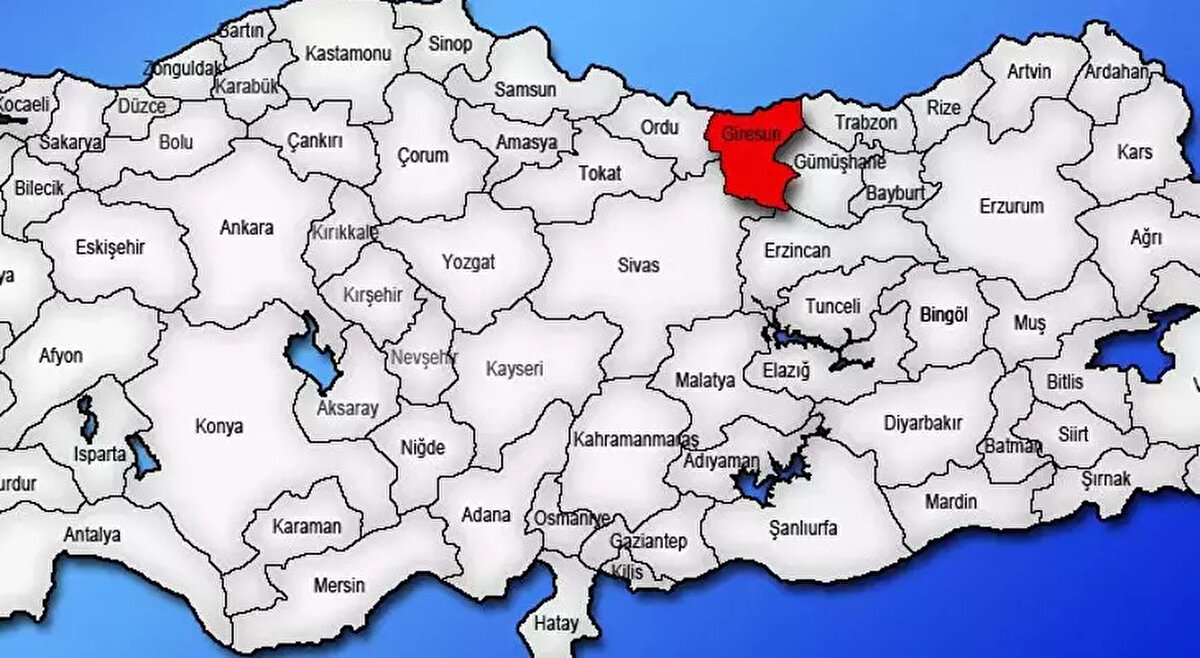 Kampanyaya hem halkın hem de kurumların büyük destek verdiğini belirten Kara, “Sivil toplum kuruluşlarını, belediye başkanlarını, DEM Parti hariç tüm siyasi partilerin il başkanlarını ve milletvekillerini ziyaret ettik. Cumhuriyetin ilanından bu yana Giresun’da ilk kez bir konuda tam bir mutabakat sağladık.” ifadelerini kullandı.