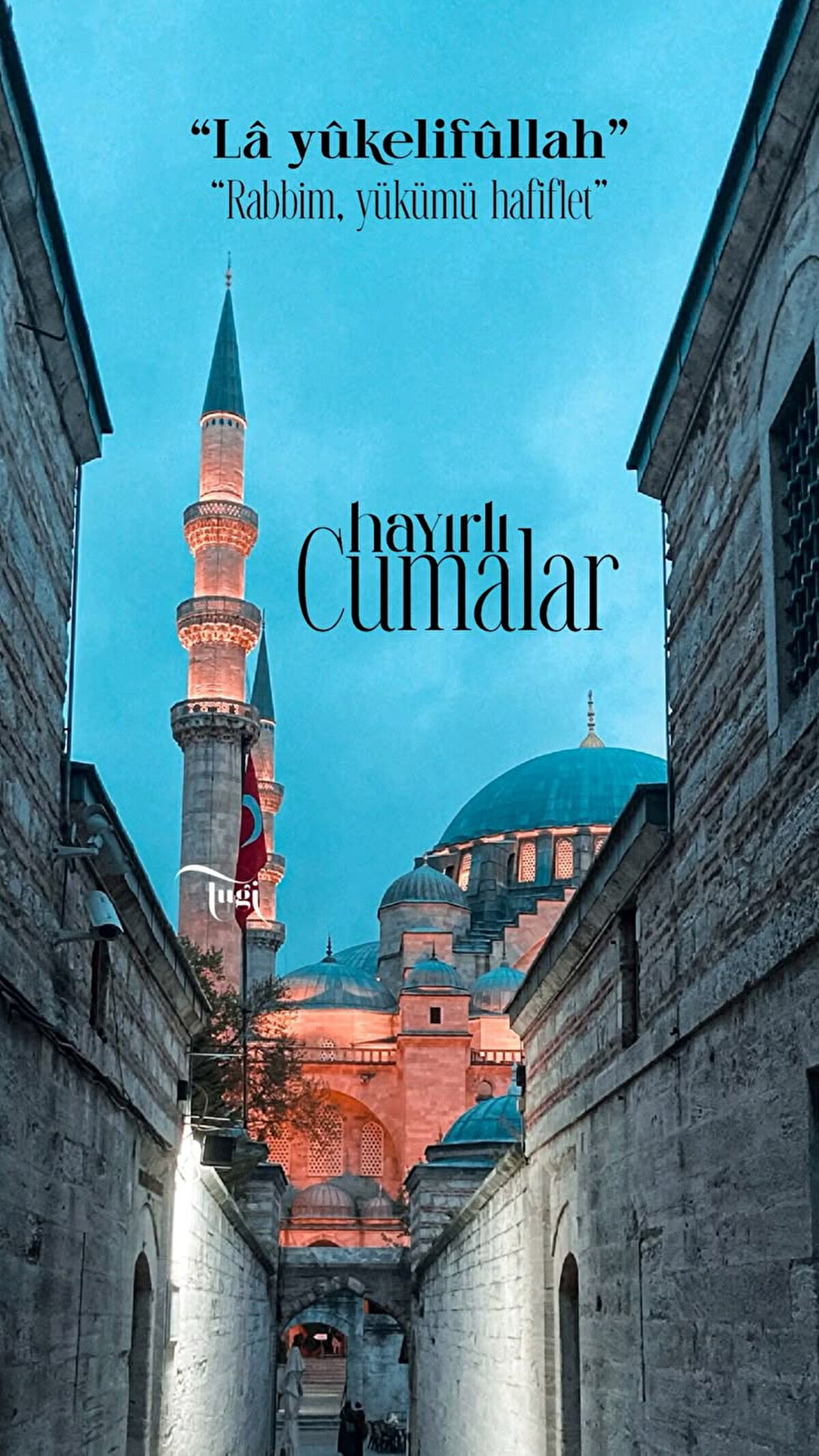 Ey Rabbimiz! Bu gün edeceğimiz dualarımızı kabul et ve bizi Makam-ı Mahmud"a komşu olmaya mazhar olanlardan eyle. Hayırlı Cumalar.