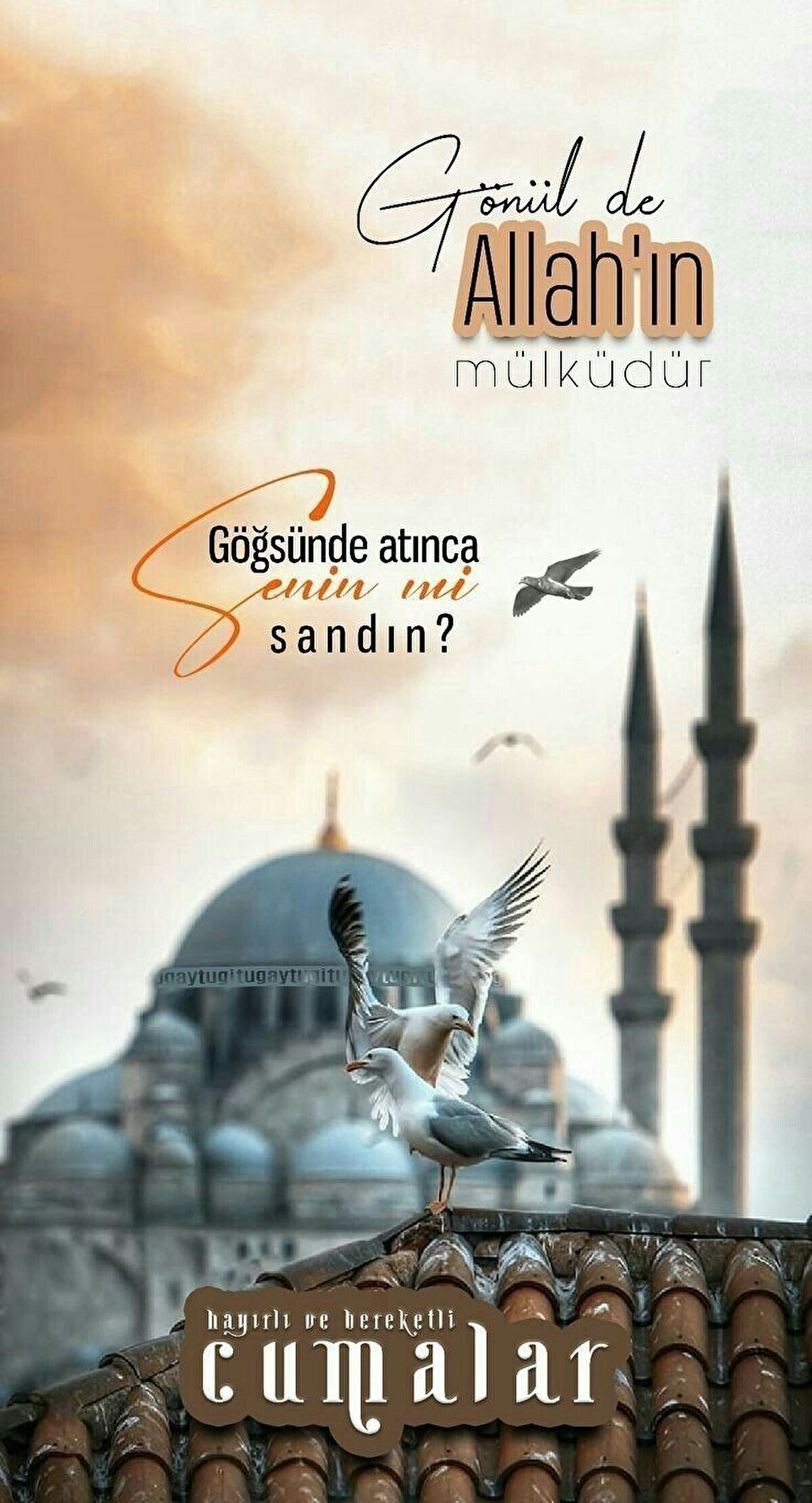 ALLAH'ım! Bizleri rahmetinin o engin lütfuyla bağışla, bize merhamet et. Bize hidayet ver ve sırat-ı müstakimden ayırma. Hayırlı Cumalar.