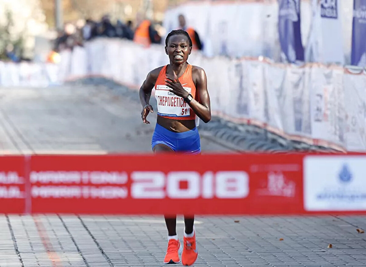 Ekrem Kurt Bulvarı<br><br>D-100 Karayolu