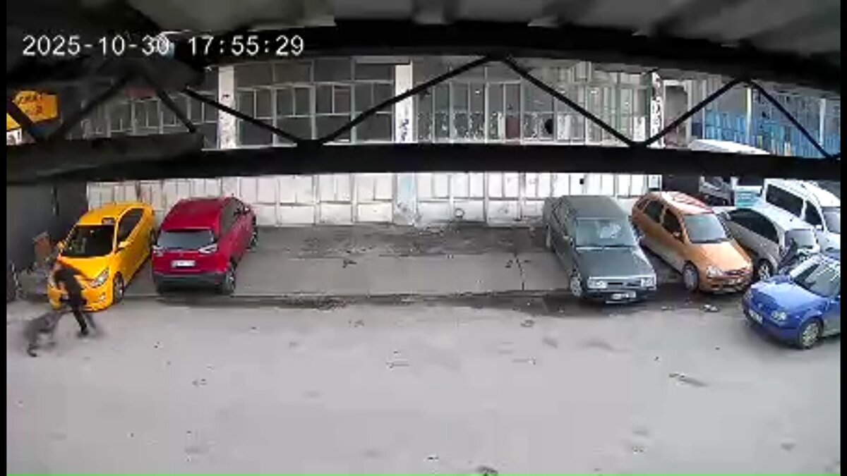 Bacağından yaralanan çocuk hastaneye kaldırıldı. Durumu iyi olan çocuğa pansuman yapılarak kuduz aşısı takibi başlatıldı.