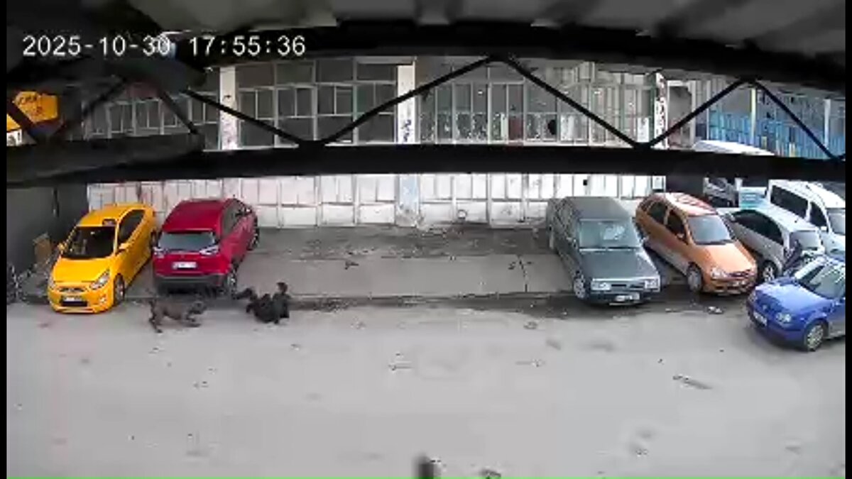 Dükkandan çıktıktan kısa süre sonra çocuk, sahibinin elinden kaçtığı iddia edilen köpeğin saldırısına uğradı.