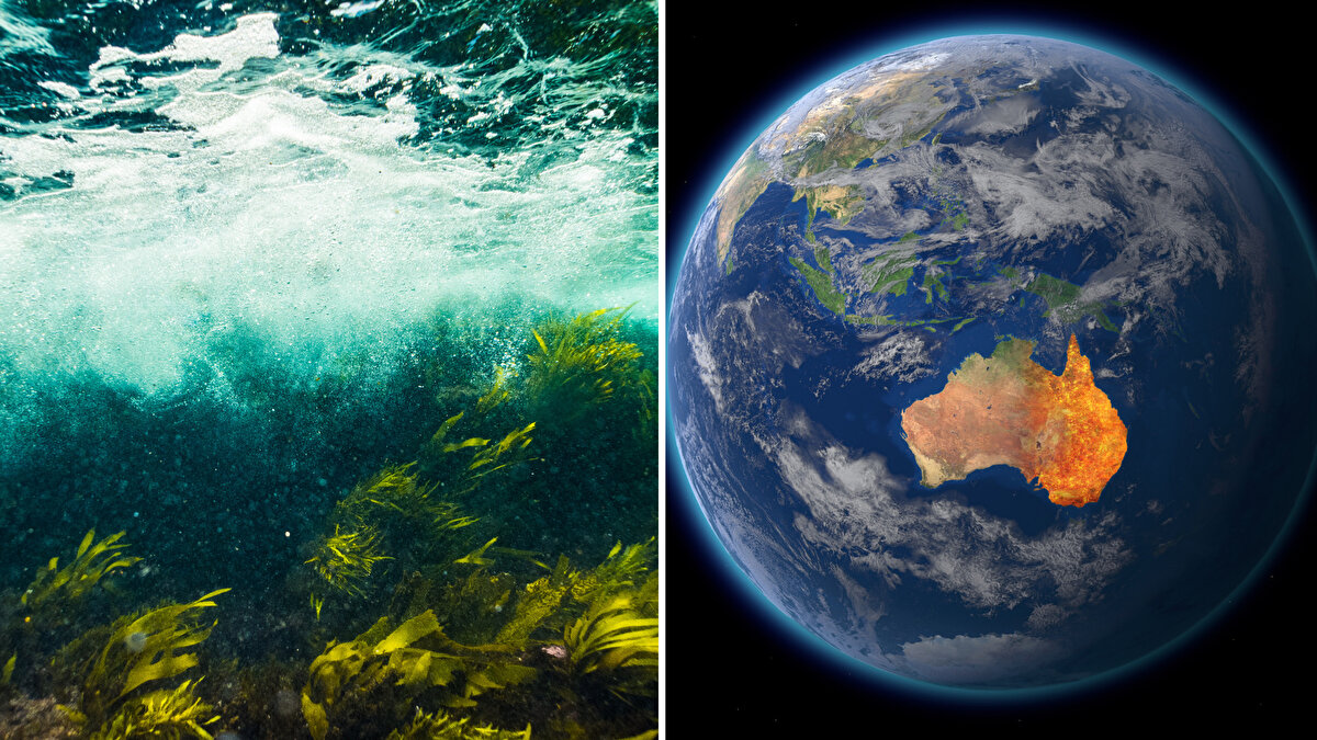 Çalışmaya göre, önümüzdeki 100 yıl içinde 37 şehir tamamen sular altında kalabilir. Raporda, bu şehirlerin bir kısmının hala kıyı yönetimi konusunda önlem almaya çalıştığı, ancak bazı şehirlerin batma riskine karşı planlarını uygulamada yetersiz kaldığı belirtildi.