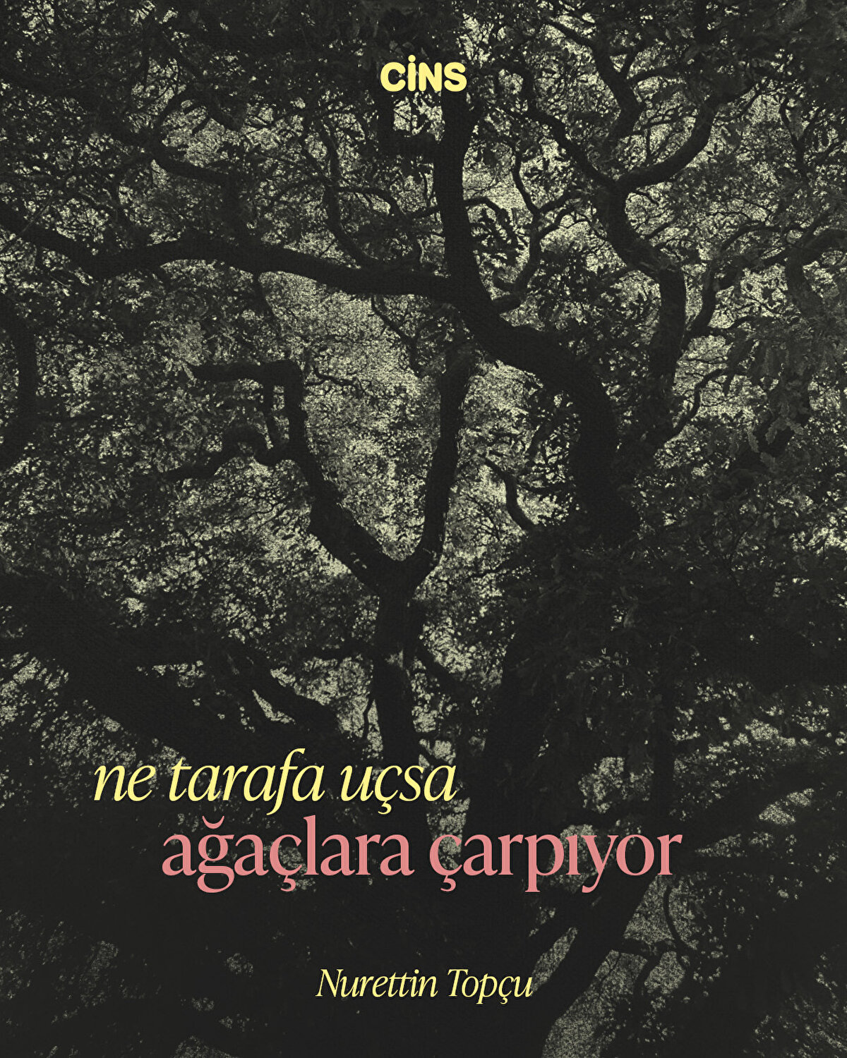 ne tarafa uçsa ağaçlara çarpıyor<br><br>Nurettin Topçu