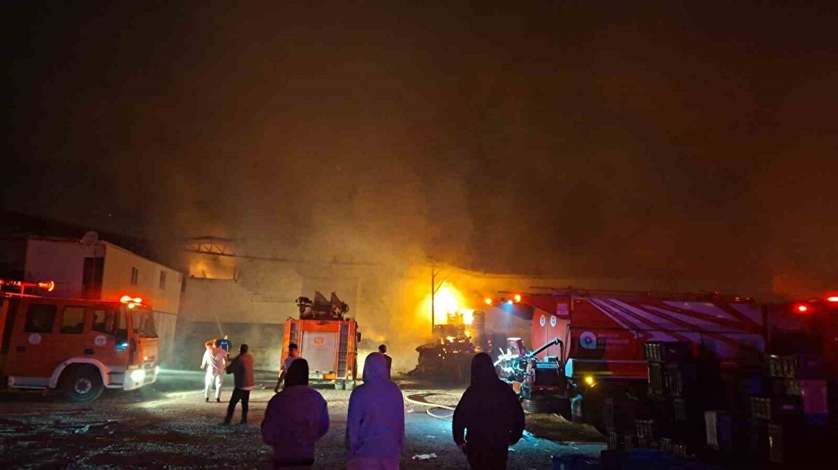 Yangın, saat 02.00 sıralarında Aksu ilçesi Atatürk Mahallesi 6. sokak üzerinde bulunan bir mevye-sebze paketleme fabrikasında meydana geldi. 
