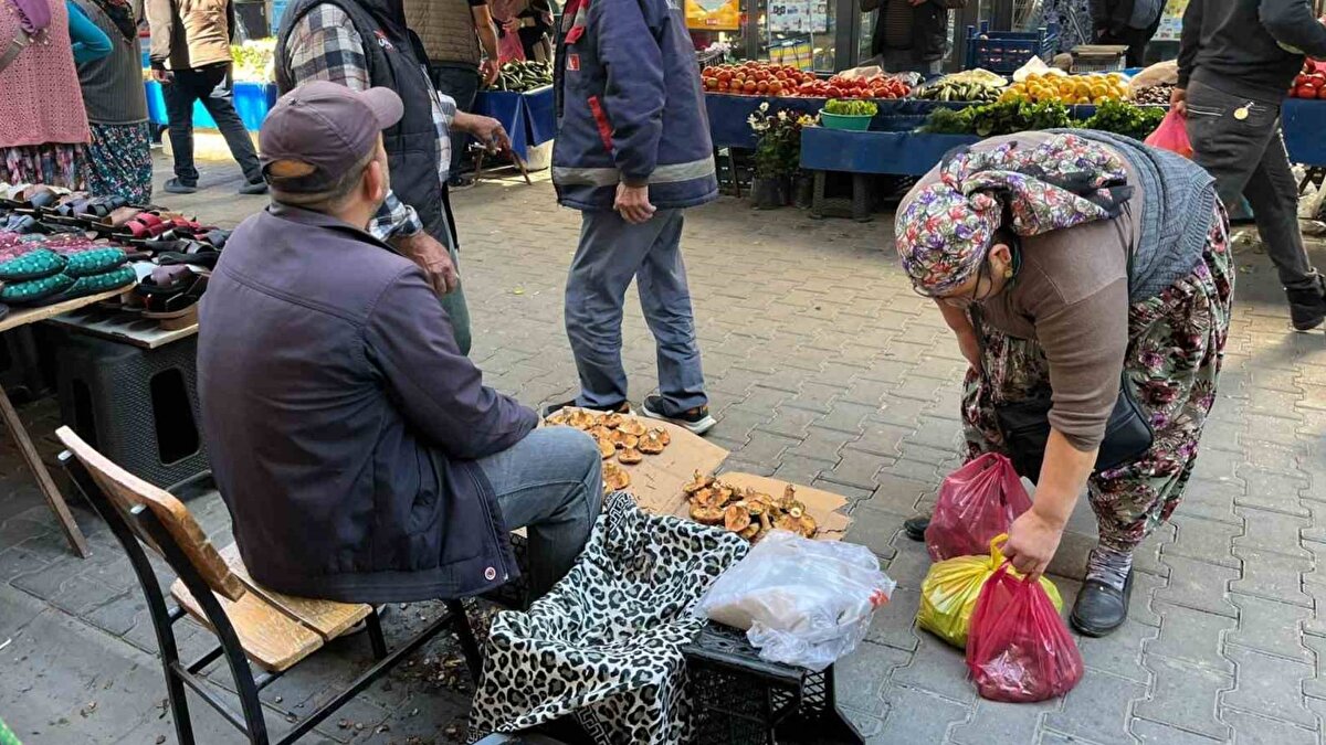 Yağışların ardından Çine Madran bölgesinde çıntar çıktığını belirten Osman Yaman, Koçarlı pazarında açtığı tezgahta satış yaptı.