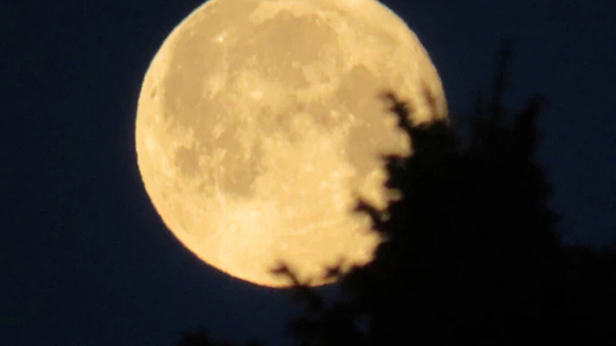 Gelgitleri nasıl etkileyecek?<br><br>Süper Ay sırasında Ay’ın Dünya’ya daha yakın olması, gelgitlerin biraz daha yüksek olmasına yol açıyor. Bu durum “perigee gelgitleri” (ya da halk arasında “süper gelgit”) olarak biliniyor.<br>Ancak Ay’ın insan üzerindeki olası etkisi konusunda endişelenmeye gerek yok.<br>Earth Sky'ın aktardığına göre, Süper Ay'ın bir insan üzerindeki ekstra çekim etkisi bir ataşın ağırlığının dokuzda biri kadar, yani hissedilemeyecek kadar küçük.