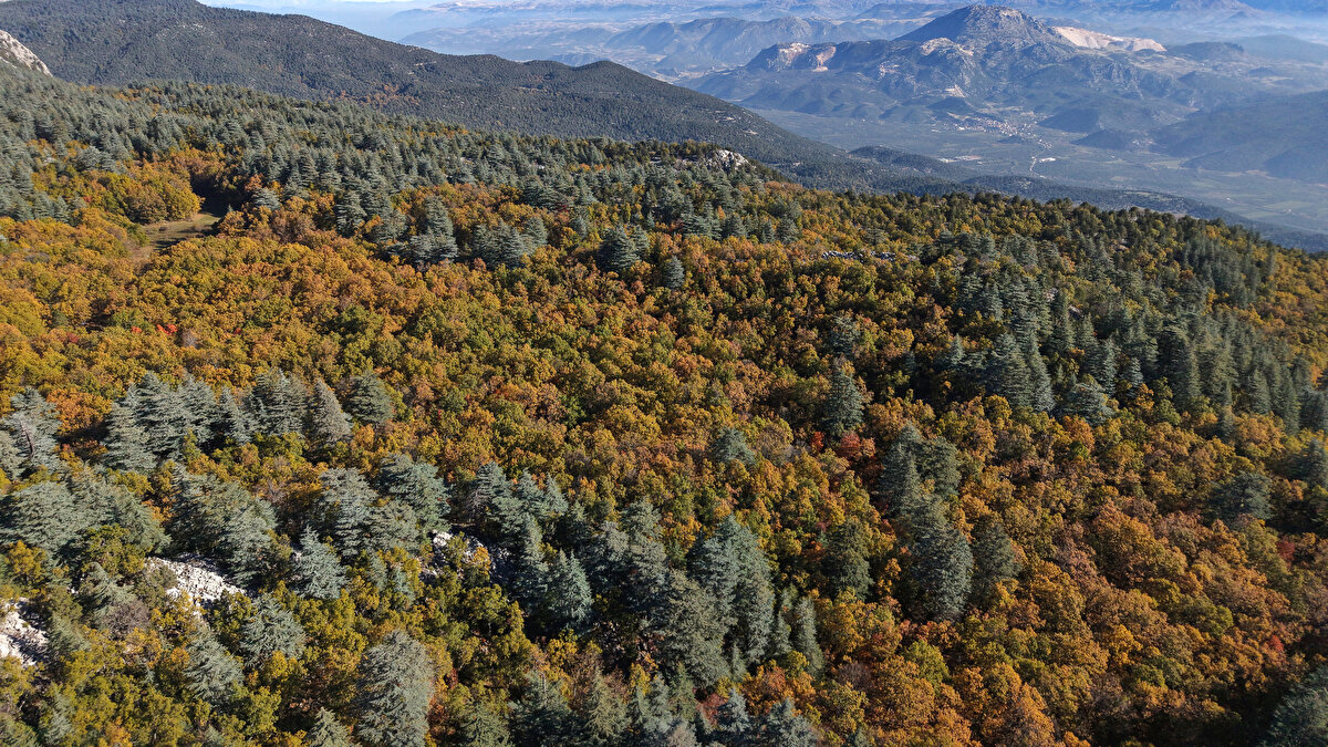 Eğirdir ilçesine bağlı Yukarı Gökdere köyünde Doğa Koruma ve Milli Parklar (DKMP) 6'ncı Bölge Müdürlüğü Isparta Şube Müdürlüğü'ne bağlı Kovada Gölü Milli Parkı sorumluluğundaki kasnak meşesi ormanı, 2019 yılında Cumhurbaşkanı imzasıyla 'Kesin Korunacak Hassas Alan' ilan edildi. Ekim ayının ortalarından kasım ayı sonlarına kadar her yıl sonbahar mevsiminin en güzel renklerinin sunulduğu ve yaşları 1000 yılı bulan doğa harikası kasnak meşelerinden oluşan 1300 hektarlık orman, dünyada sadece Yukarı Gökdere'de bulunuyor.