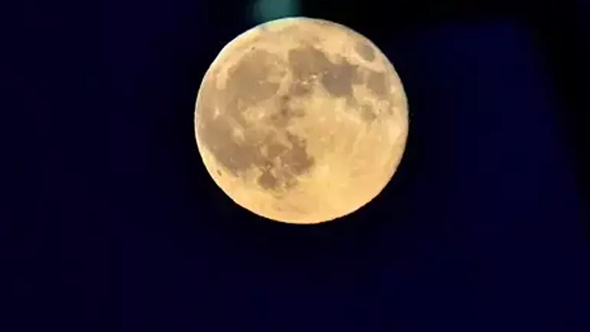 SÜPER AY NE ZAMAN, HANGİ GÜN GÖRÜLECEK?<br><br>2025 yılının en büyük ve en parlak Süper Ay'ı, 5 Kasım 2025 Çarşamba akşamı (bu akşam) görülecek. Gün batımından itibaren doğu ufkundan yükselmeye başlayacak olan Ay, gece boyunca gökyüzünde muhteşem bir görsel şölen sunacak.<br><br>"Kunduz Dolunayı" (Beaver Moon) adıyla da anılan bu Süper Ay, normal bir dolunaydan yaklaşık yüzde 14 daha büyük ve yüzde 30 daha parlak görünecek. Bu olayın son 6 yılın en büyük Süper Ay'ı olması bekleniyor.<br>