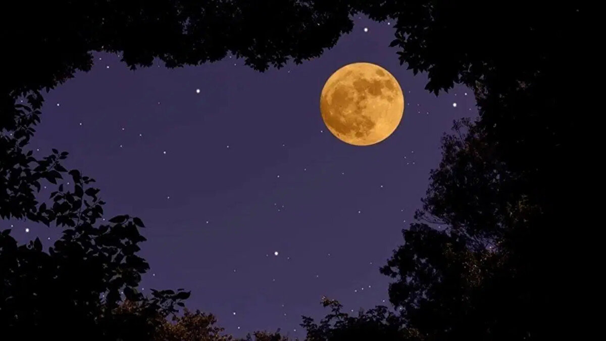 SÜPER DOLUNAY NEDİR?<br><br>"Süper Dolunay" veya "Süper Ay", Ay'ın yörüngesi üzerinde Dünya'ya en yakın olduğu konumda (perigee - yerberi) iken dolunay evresine denk gelmesidir. Ay'ın Dünya'ya en yakın konumda olması, onun gökyüzünde normalden çok daha büyük ve parlak algılanmasına neden olur.