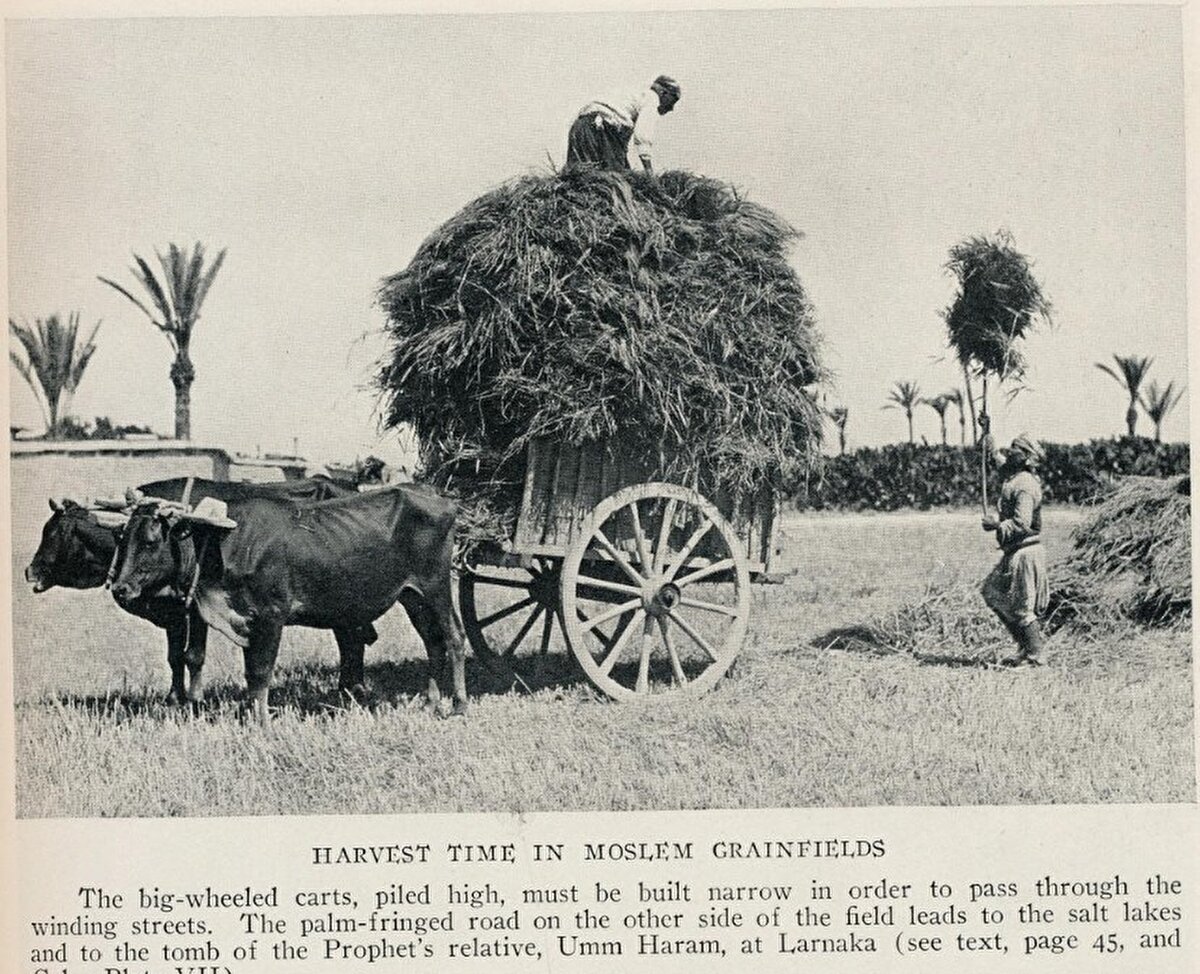 “Müslümanların tarlasında hasat zamanı”