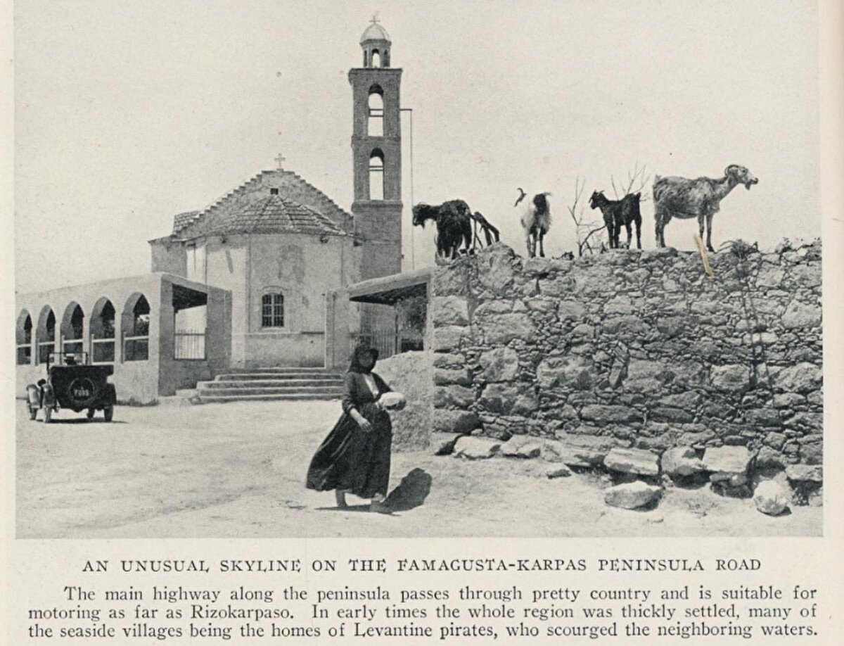 “Mağusa-Karpas Yarımadası yolunda alışılmadık bir manzara”
