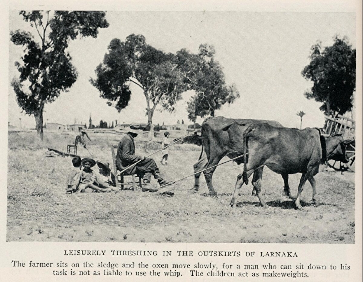 “Larnaka’nın dışında harman dövme”