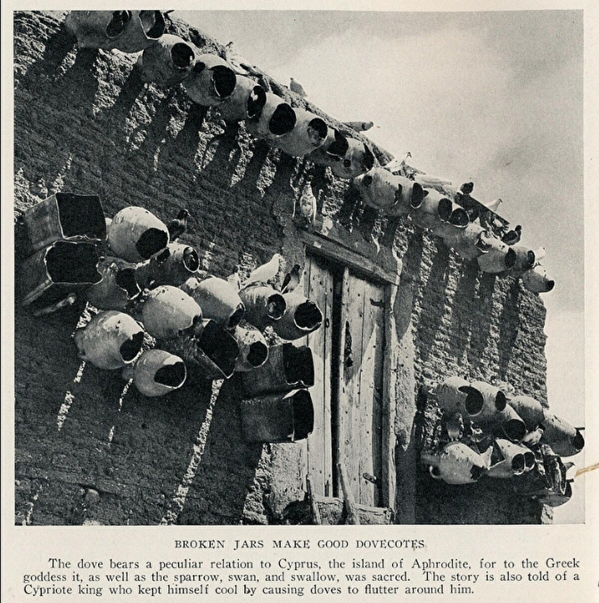 “Kırık testiler, iyi güvercinlikler oluşturur”