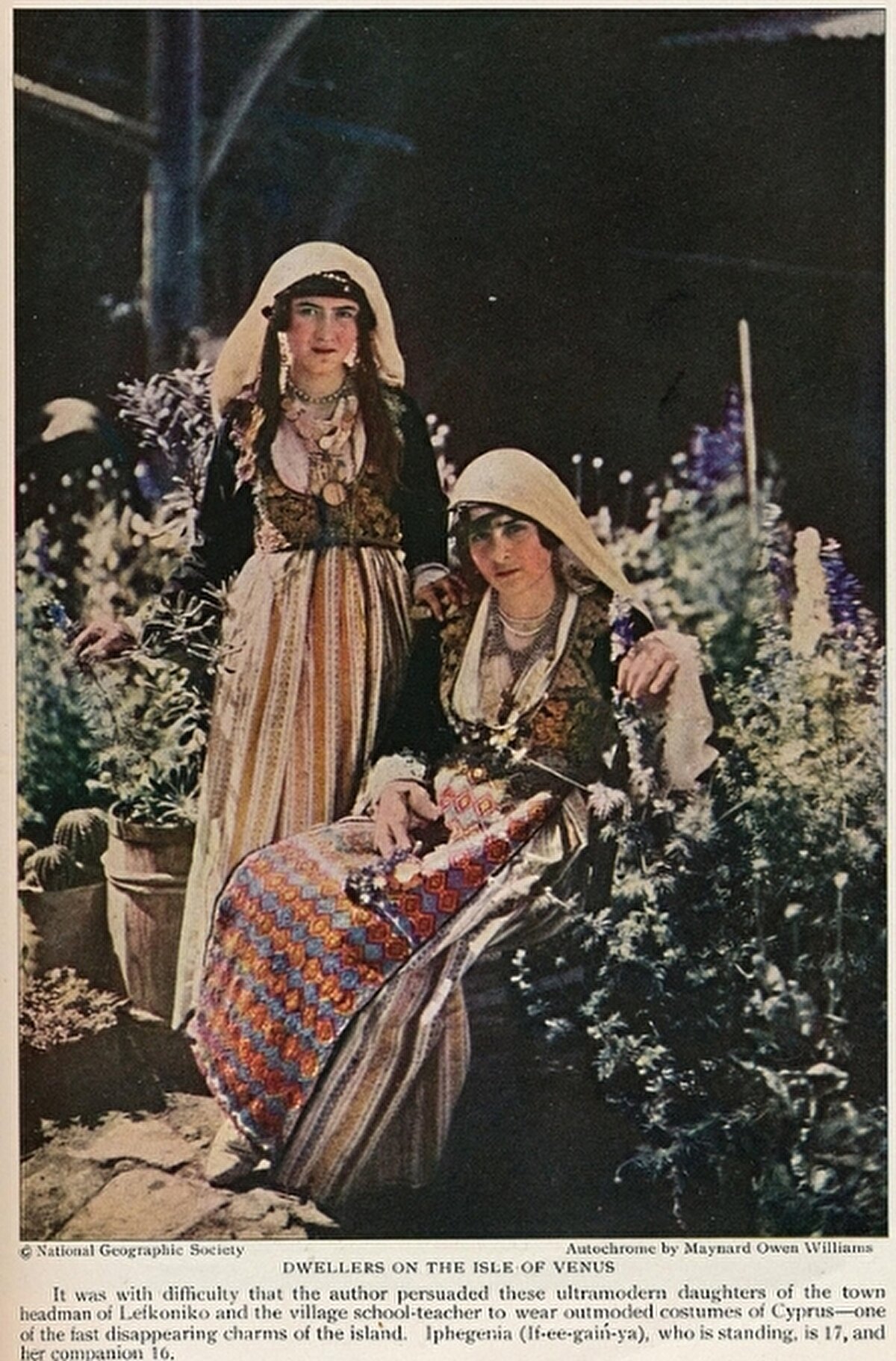 “Venüs Adası'nın sakinleri”