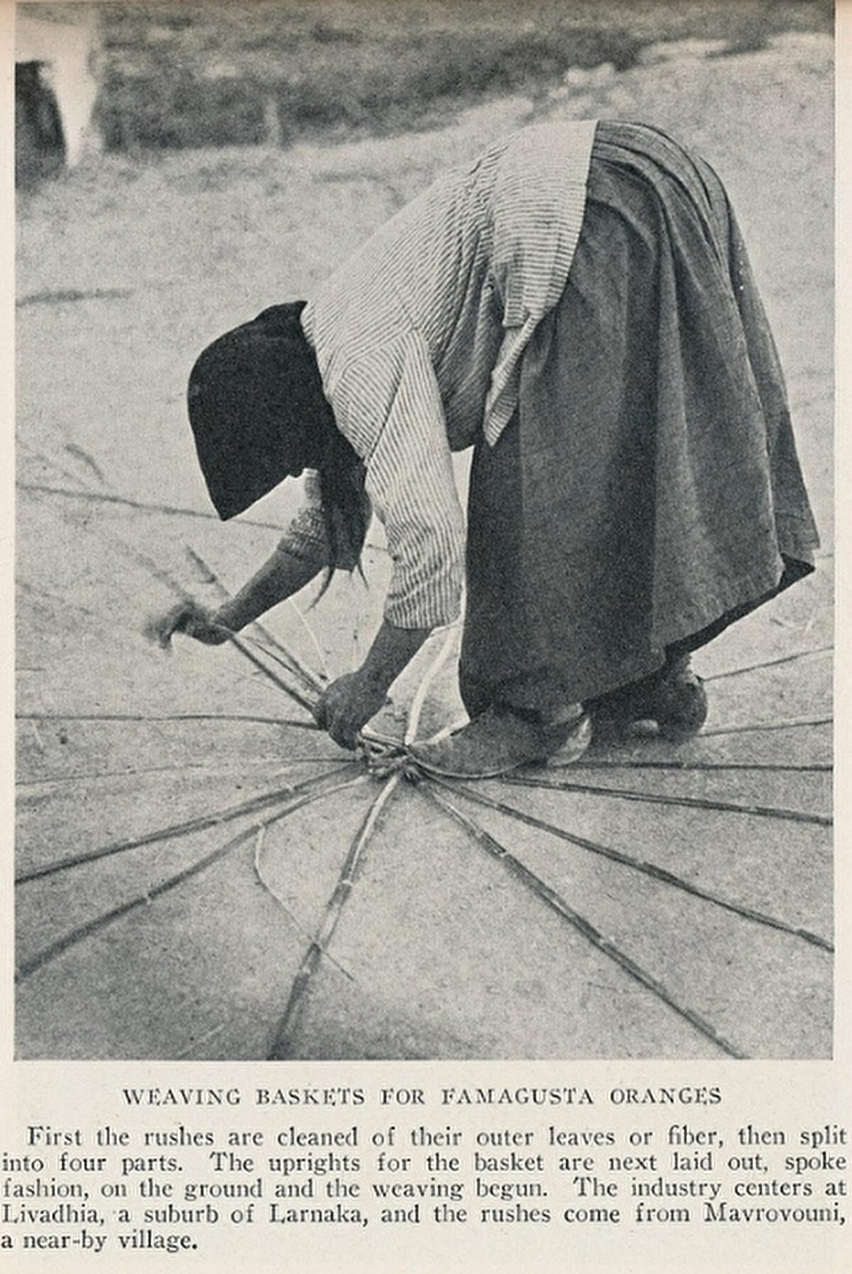 “Mağusa portakalları için dokuma sepetleri”