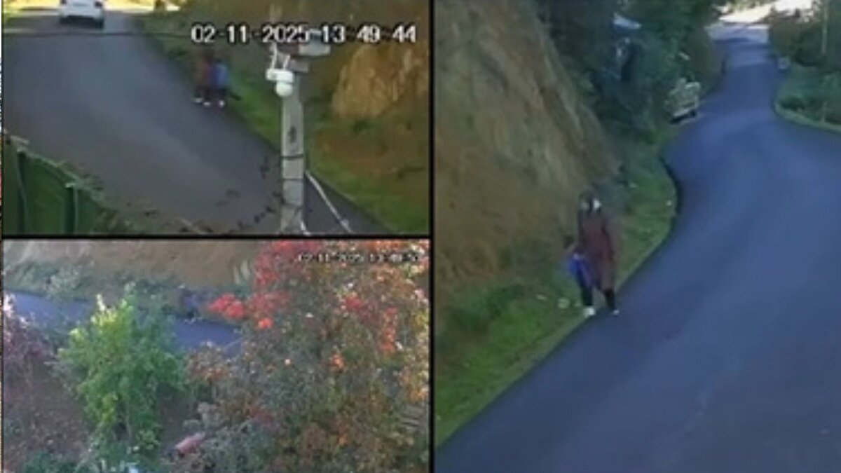 Edinilen bilgiye göre, Bozkurt ilçesinde 2 Kasım Pazar günü Merkez Mahallesi Meteoroloji TOKİ Konutlarındaki evlerinden ayrıldıktan sonra bir daha haber alınamayan 43 yaşındaki Huriye Helvacı ve 5 yaşındaki oğlu Osman Helvacı’nın aranmasına devam ediliyor. Arama çalışmalarına İl Afet ve Acil Durum Müdürlüğü (AFAD), Ulusal Medikal Kurtarma Ekibi (UMKE), Kastamonu Emniyet Müdürlüğü, Kastamonu Jandarma Komutanlığına bağlı Jandarma Arama Kurtarma (JAK) ile komando birlikleri arama çalışmalarını sürdürüyor. Ayrıca ekipler için Kızılay ikram aracı konuşlandırırken, gönüllü vatandaşlar da arama çalışmalarına destek veriyor.