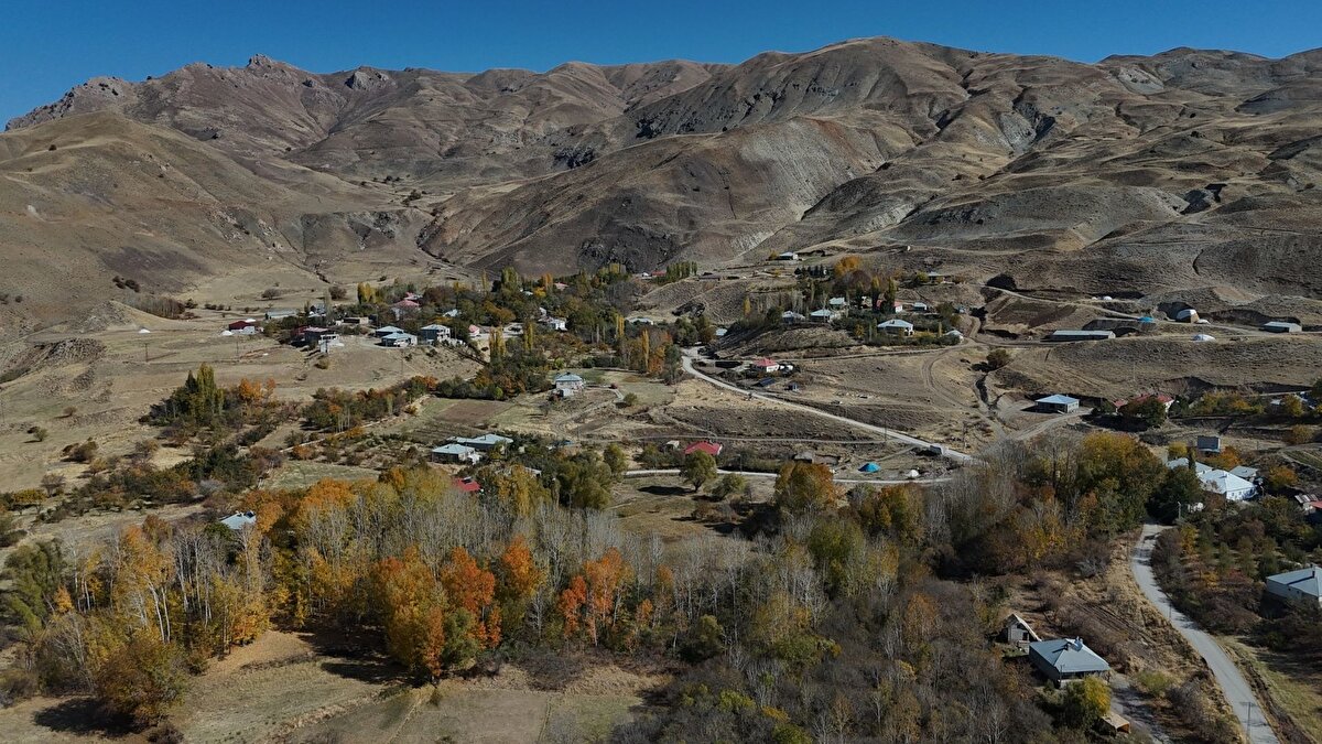 Köyde sakinlerinden Ronahi Bilici ise herkesin soyadının aynı olmasının güzel olduğunu belirterek, "Hepimizin akraba olması büyük bir ayrıcalıktır. Bu durum bize artık çok da garip gelmiyor. Ama başka bir yerde söylediğimizde, insanlara çok ilginç geliyor. 'Nasıl olur da herkesin soyadı aynı olur' diye şaşırıyorlar. Aynı isimle olan birkaç kişi de var. Bu durumda genelde lakaplarla ayırıyoruz ya da babasının adını söyleyerek karıştırmamaya çalışıyoruz" dedi.