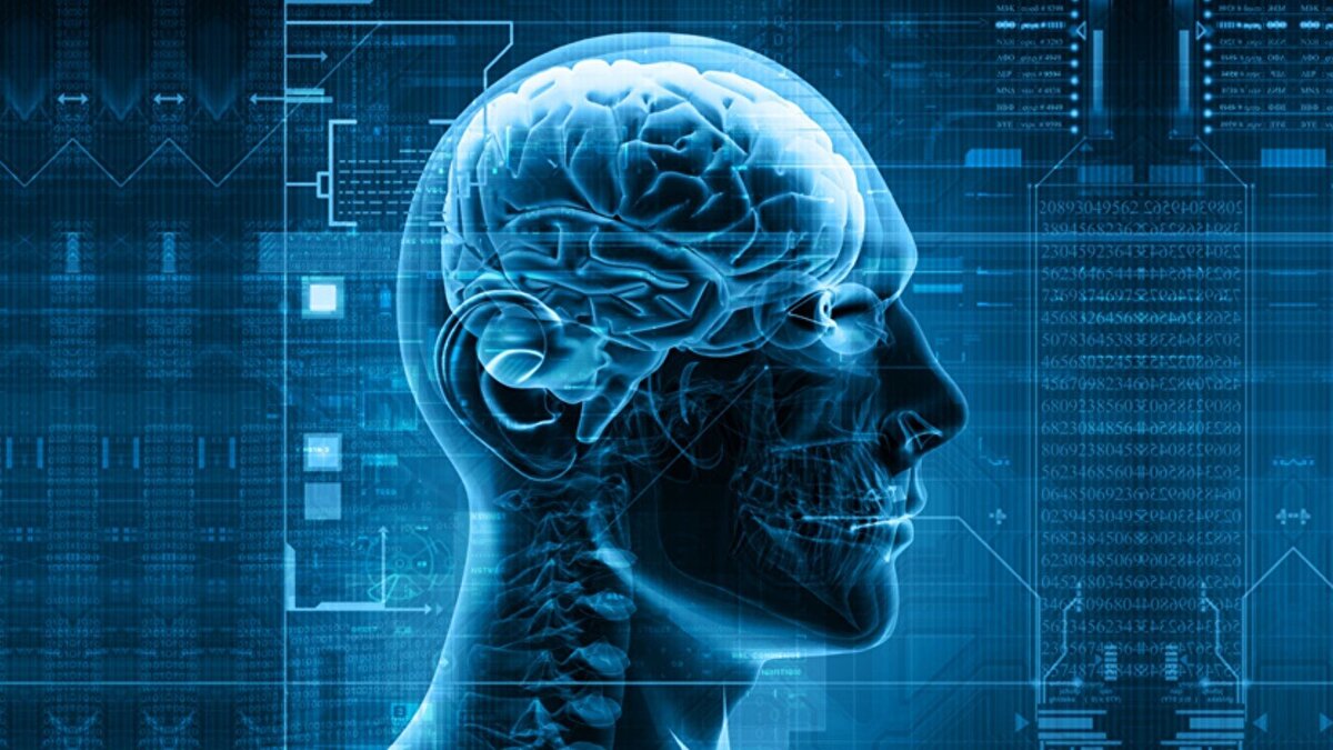 American Journal of Human Genetics dergisinde yayımlanan makalede, Idibell'de görev alan bilim insanları liderliğindeki uluslararası bir ekibin, şu anda dünya çapında 13 kişide tespit edilen, bir gendeki mutasyonlardan kaynaklanan yeni ve çok nadir bir nörolojik hastalığı keşfettiği bildirildi.<br><br>Makalede, bu keşfin, genetik hastalıkların nedenlerini anlamak ve çözümler üretmek için kullanılan, bir organizmanın tüm DNA'sındaki nükleobaz dizisini belirleme işlemi olan genom dizilimi ve Idibell ekibi tarafından geliştirilen yeni genomik araçların ve hesaplamalı algoritmaların uygulanması sayesinde mümkün olduğu kaydedildi.