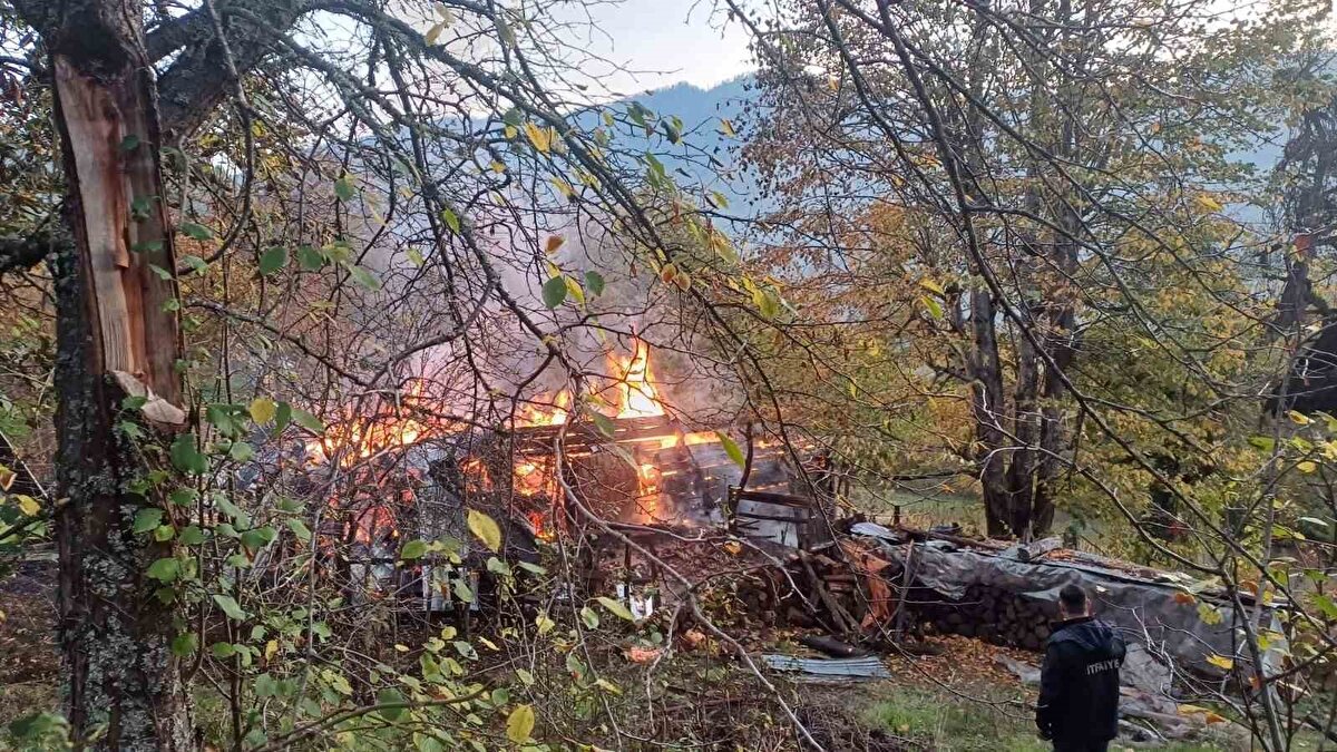 Yangın fark eden hane sahipleri kendilerini son anda dışarı atarken kısa sürede büyüyen alevler ahşap evi tamamen sardı.<br><br>