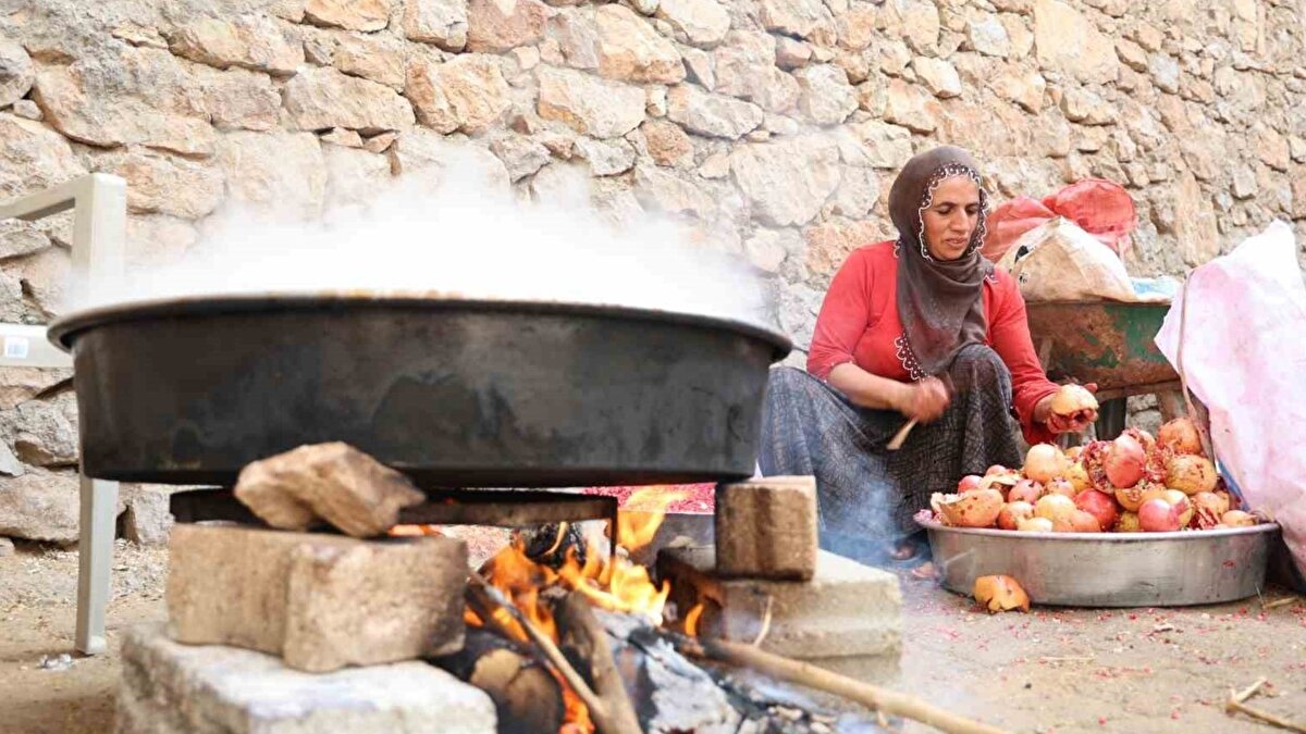 Köyün eski muhtarı Abbas Çiftçi, burada zeytin, cennet hurması, ayva, nar, erik yetiştiğini, Karadeniz ile Akdeniz’i buraya getirdiklerini söyledi. Şu anda fındık ve hurmanın olduğunu belirten Çiftçi, Akdeniz ikliminden ise limon, portakal olduğunu, narence fidanlarını da iki senedir ektiklerini ifade etti.