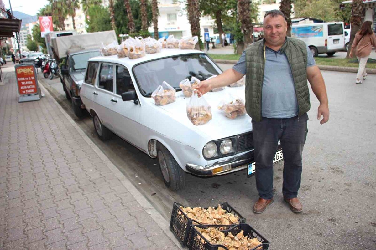 Kumluca ilçesinde ormanlık alanda doğal olarak yetişen Kanlıca (Yöresel Tabiri ile) çam mantarları yöre halkının geçim kaynağı oluyor. Her yıl Kasım ve Aralık aylarında yağmurların yağmasıyla kendiliğinden yetişen mantarlar yaklaşık 1 ay boyunca yörede yaşayan vatandaşların hem geçim kaynağı hem de vazgeçilmez yiyeceği oluyor. Dağlardan topladıkları mantarları şehir meydanında satan vatandaşlar ilk yetişen mantarları 500 TL sattıklarını belirterek ormanda mantarlar çoğaldıkça mantar fiyatları düşüyor dediler.
